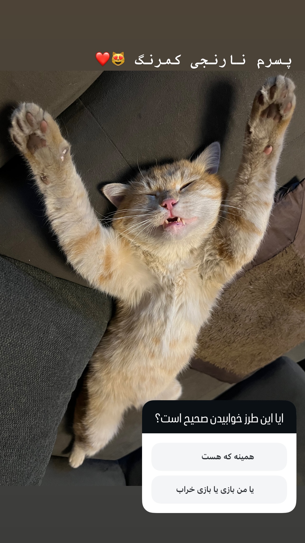  جدید ترین استوری اینستاگرام نیما شاهرخ شاهی