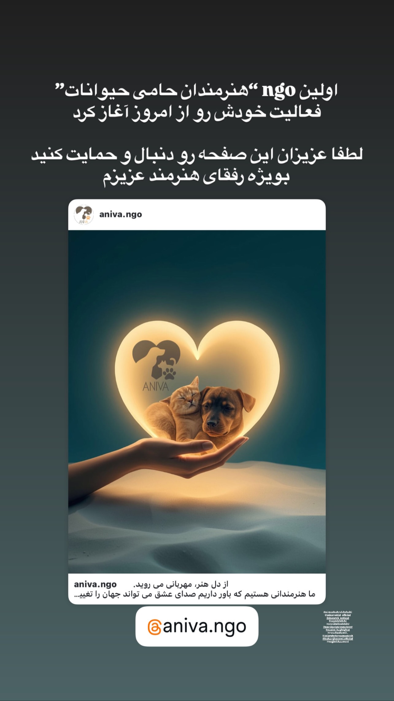  جدید ترین استوری اینستاگرام نیما شاهرخ شاهی