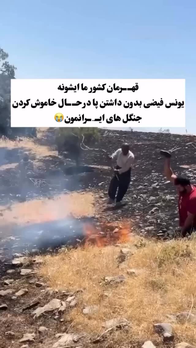  جدید ترین استوری اینستاگرام نیما شاهرخ شاهی