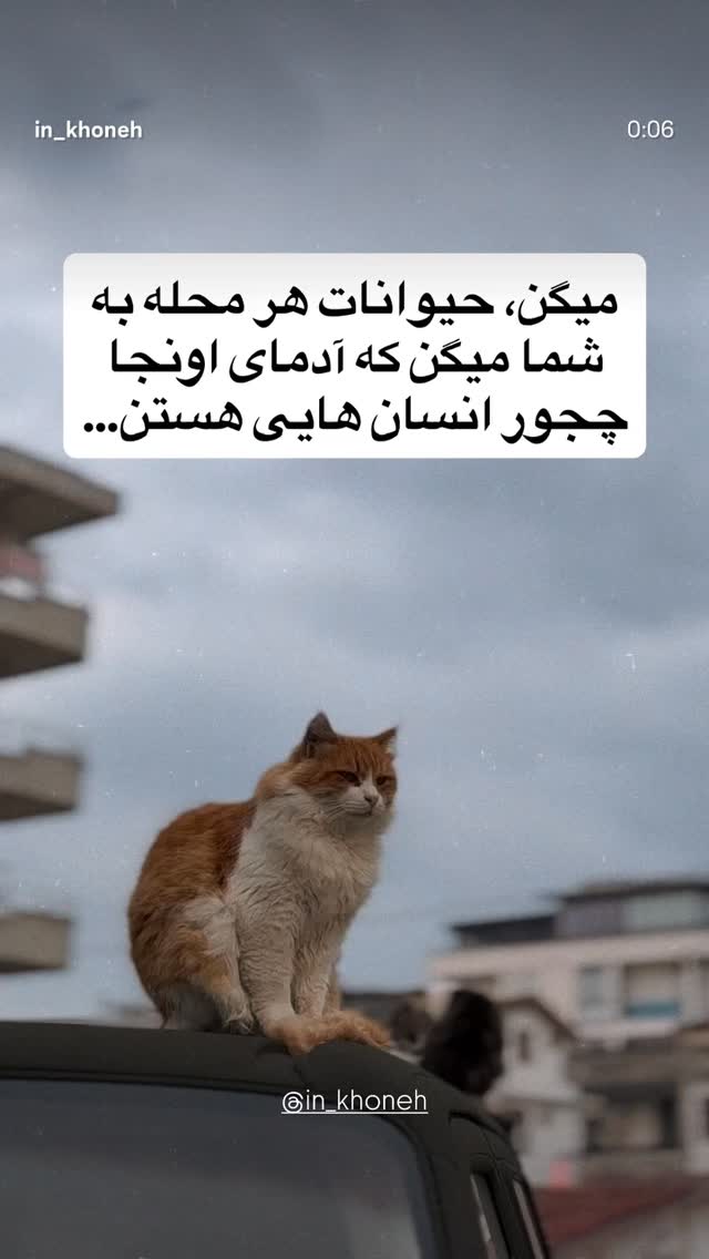  جدید ترین استوری اینستاگرام نیما شاهرخ شاهی
