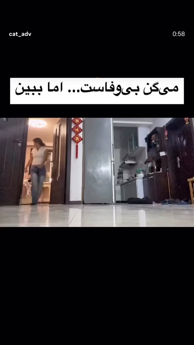  جدید ترین استوری اینستاگرام نیما شاهرخ شاهی