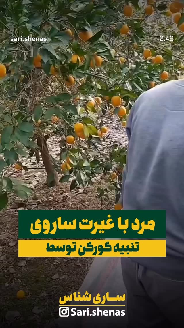  جدید ترین استوری اینستاگرام نیما شاهرخ شاهی