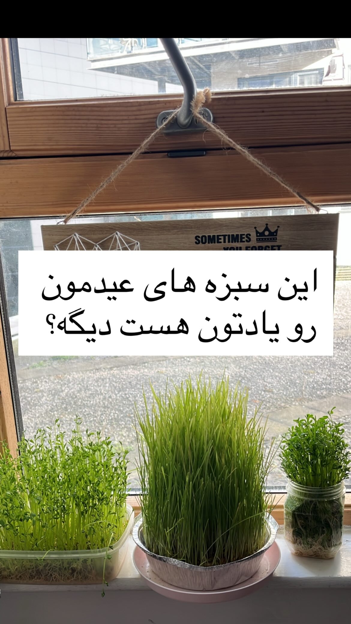  جدید ترین استوری اینستاگرام نیما سهرابی