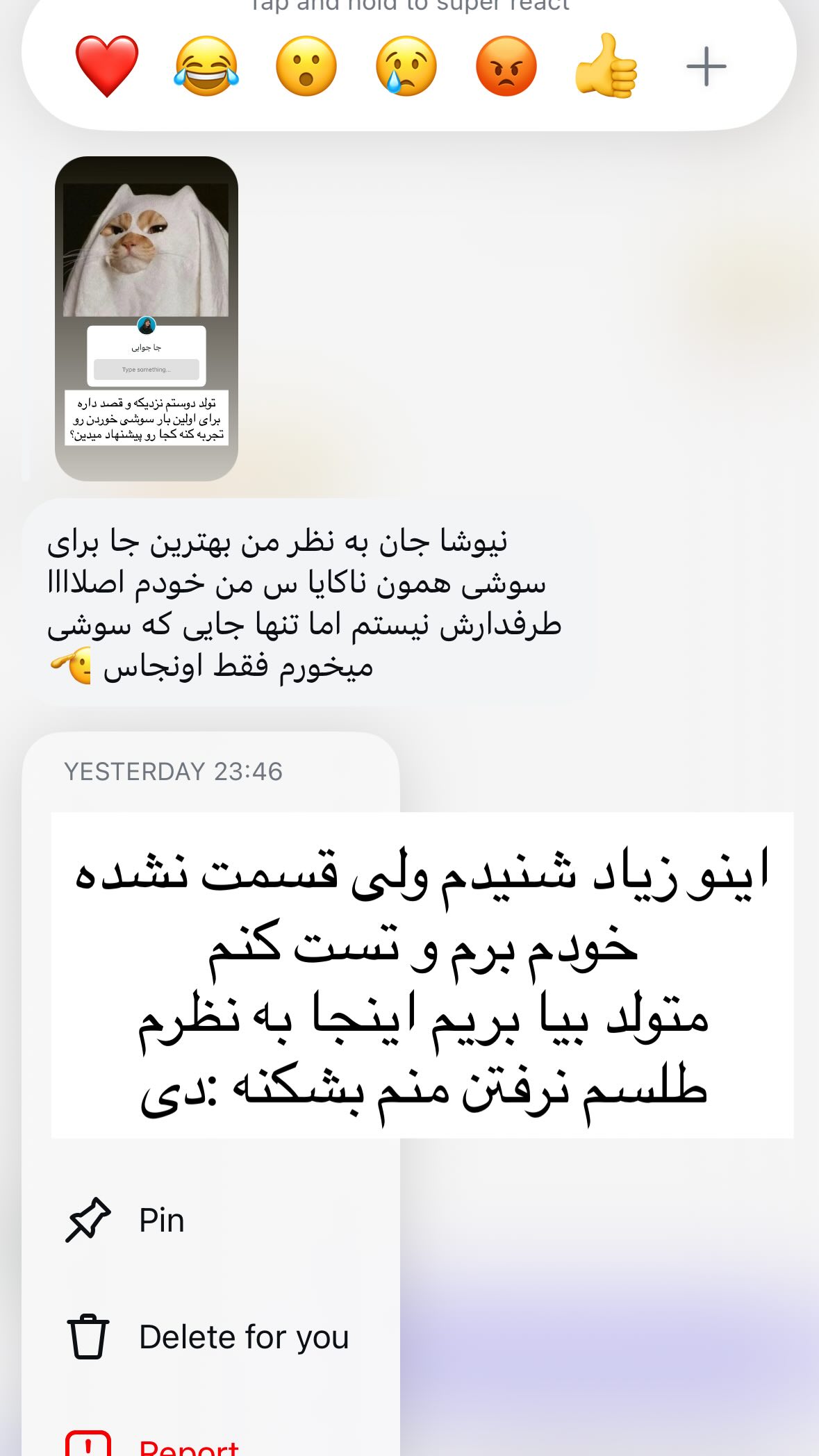  جدید ترین استوری اینستاگرام نیوشا امیری