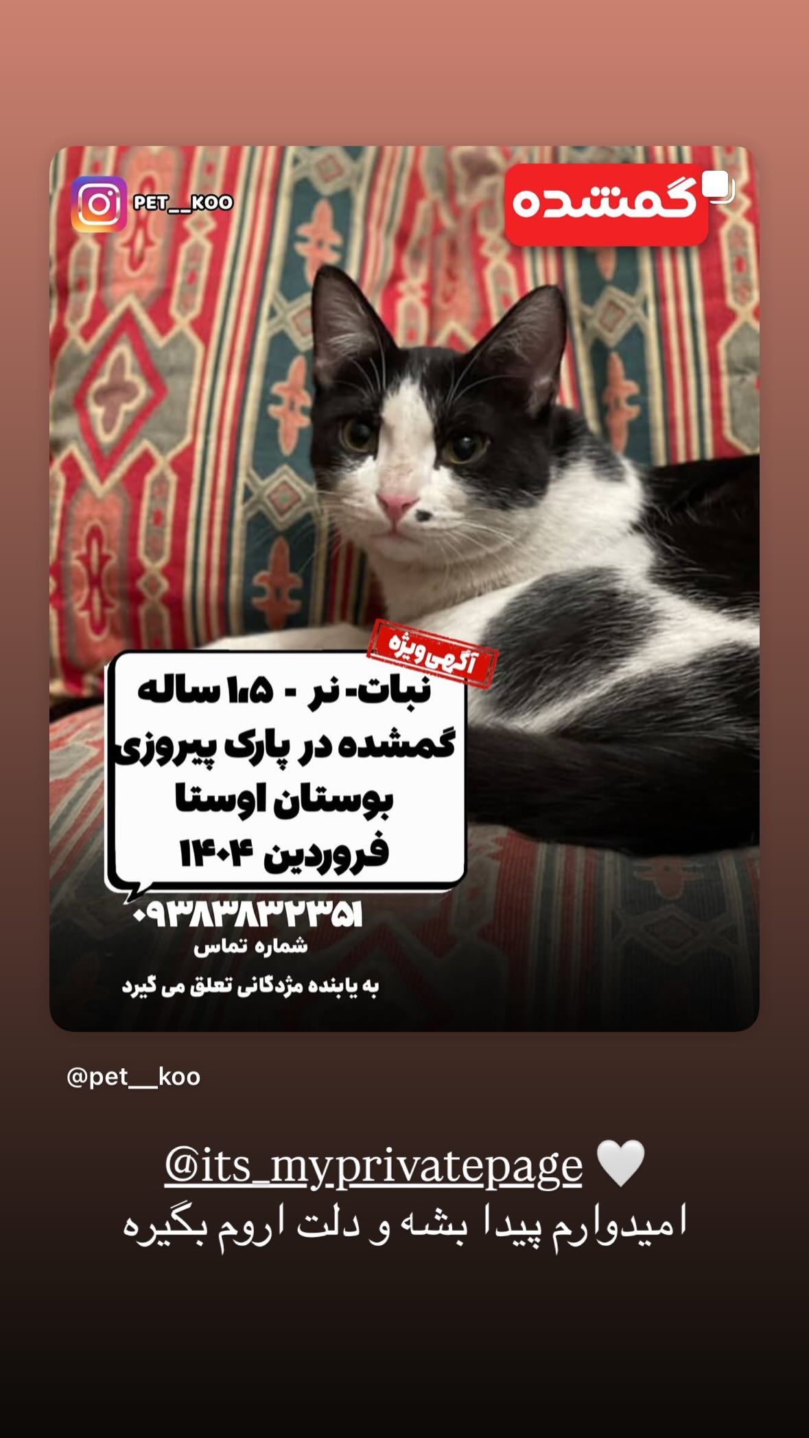  جدید ترین استوری اینستاگرام نیوشا امیری