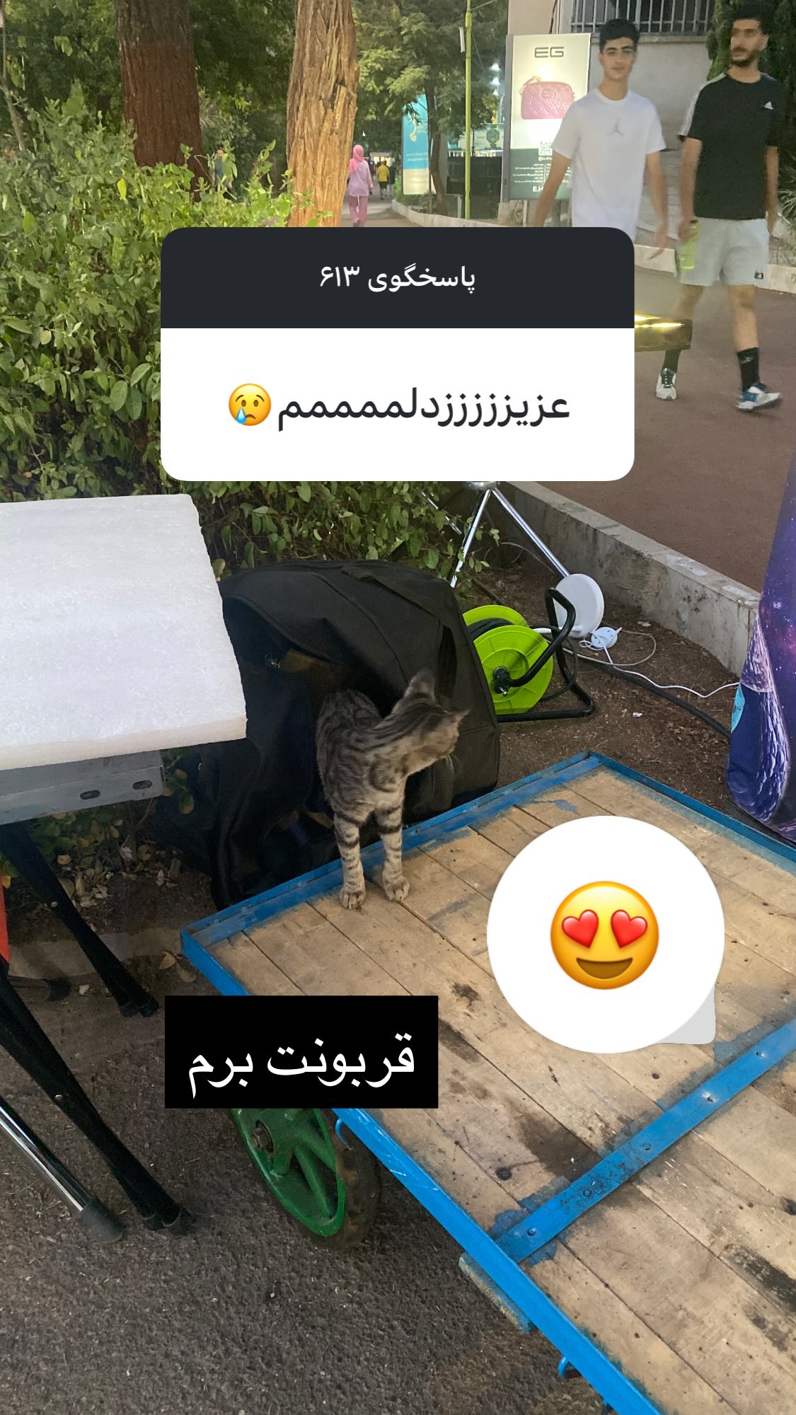  جدید ترین استوری اینستاگرام نیوشا امیری