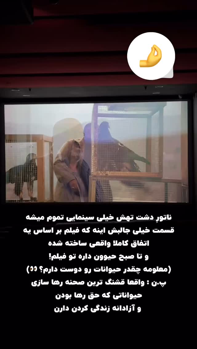  جدید ترین استوری اینستاگرام نیوشا امیری