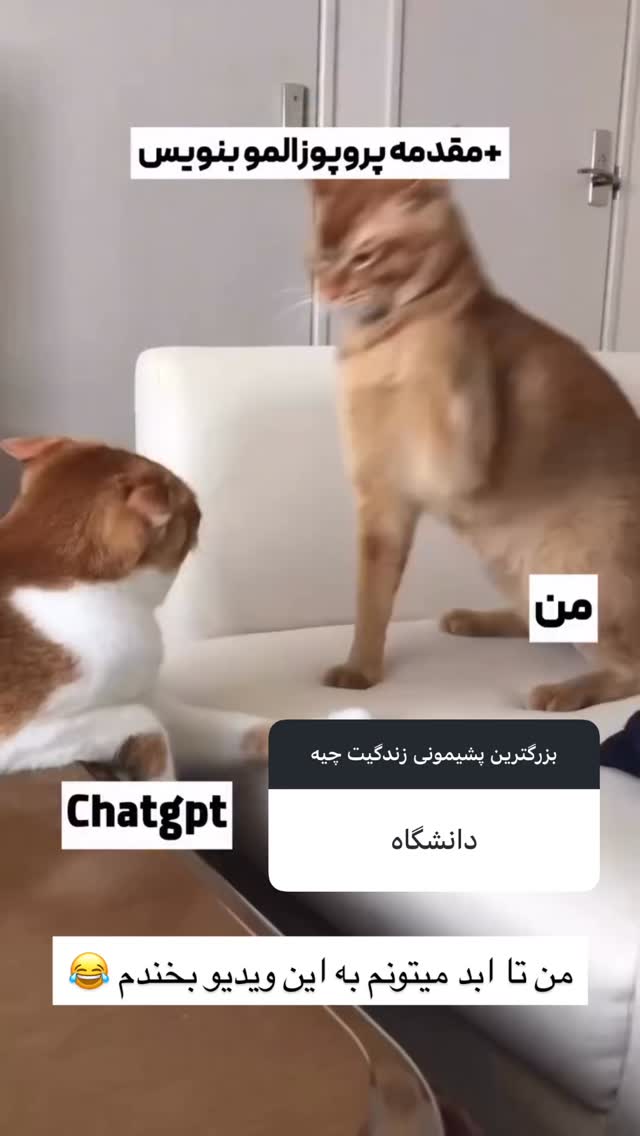  جدید ترین استوری اینستاگرام نیوشا امیری