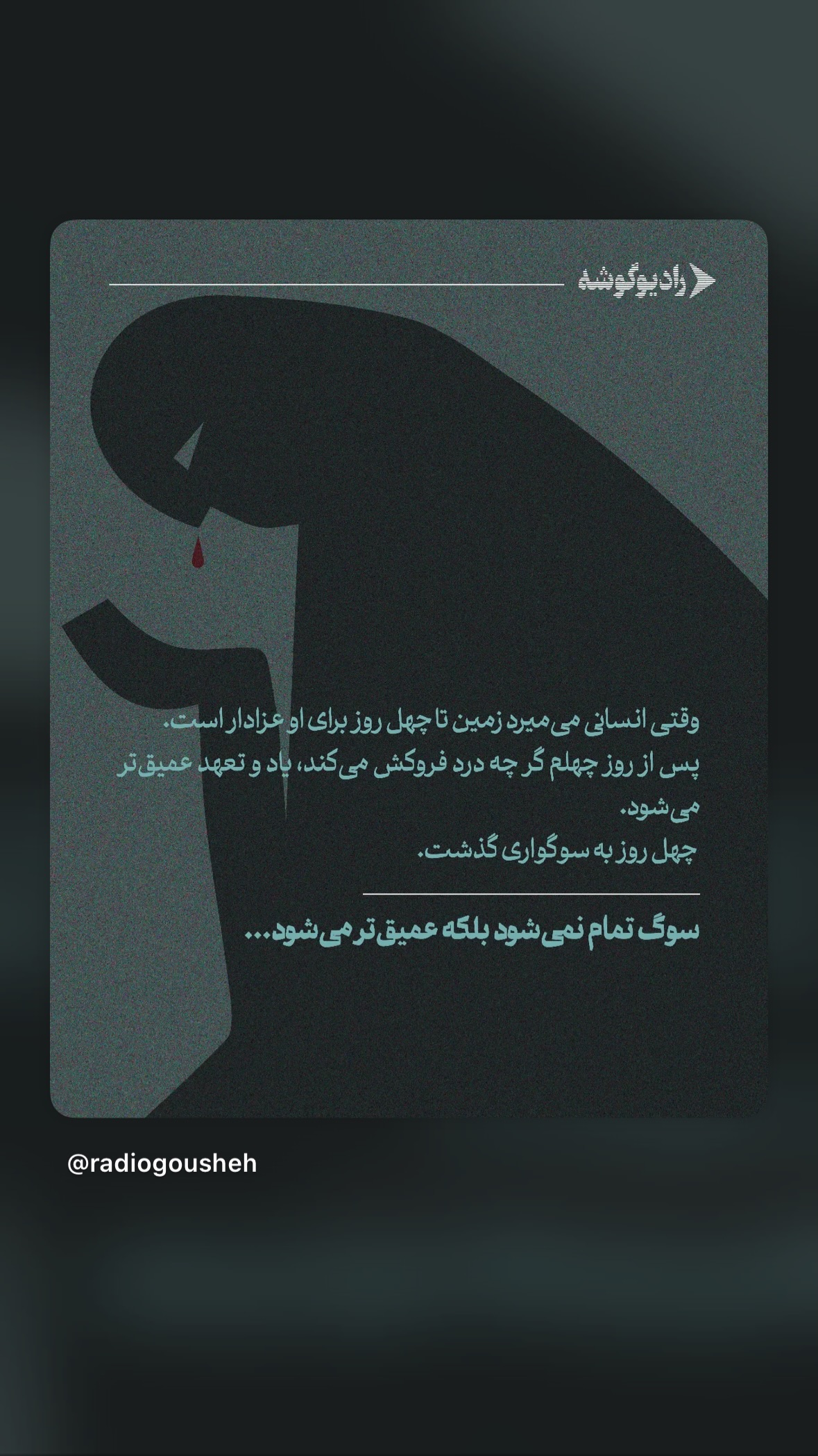  جدید ترین استوری اینستاگرام نیوشا امیری