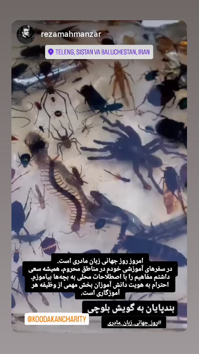  جدید ترین استوری اینستاگرام نیوشا امیری