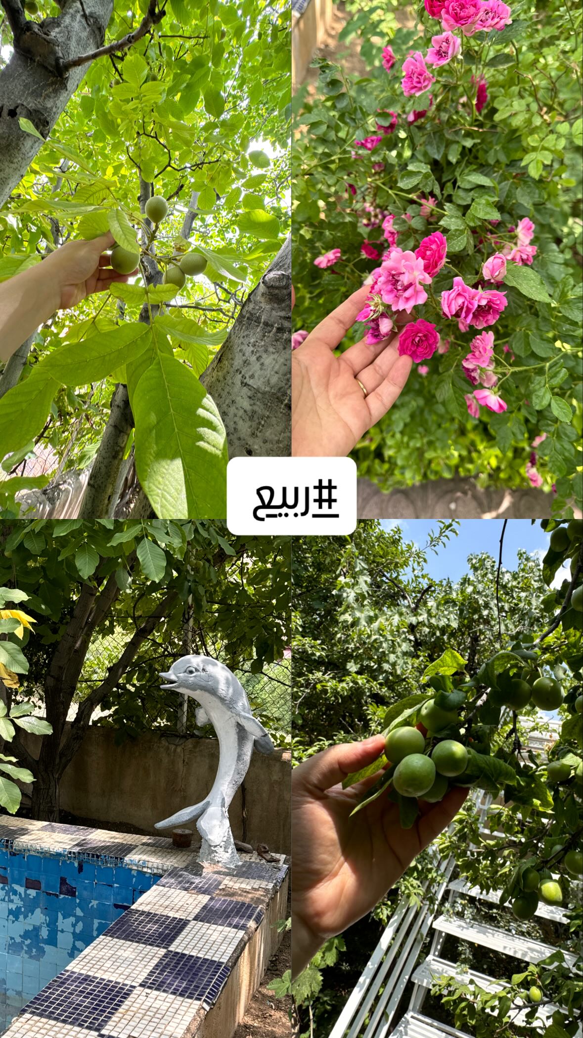  جدید ترین استوری اینستاگرام نورا بانو
