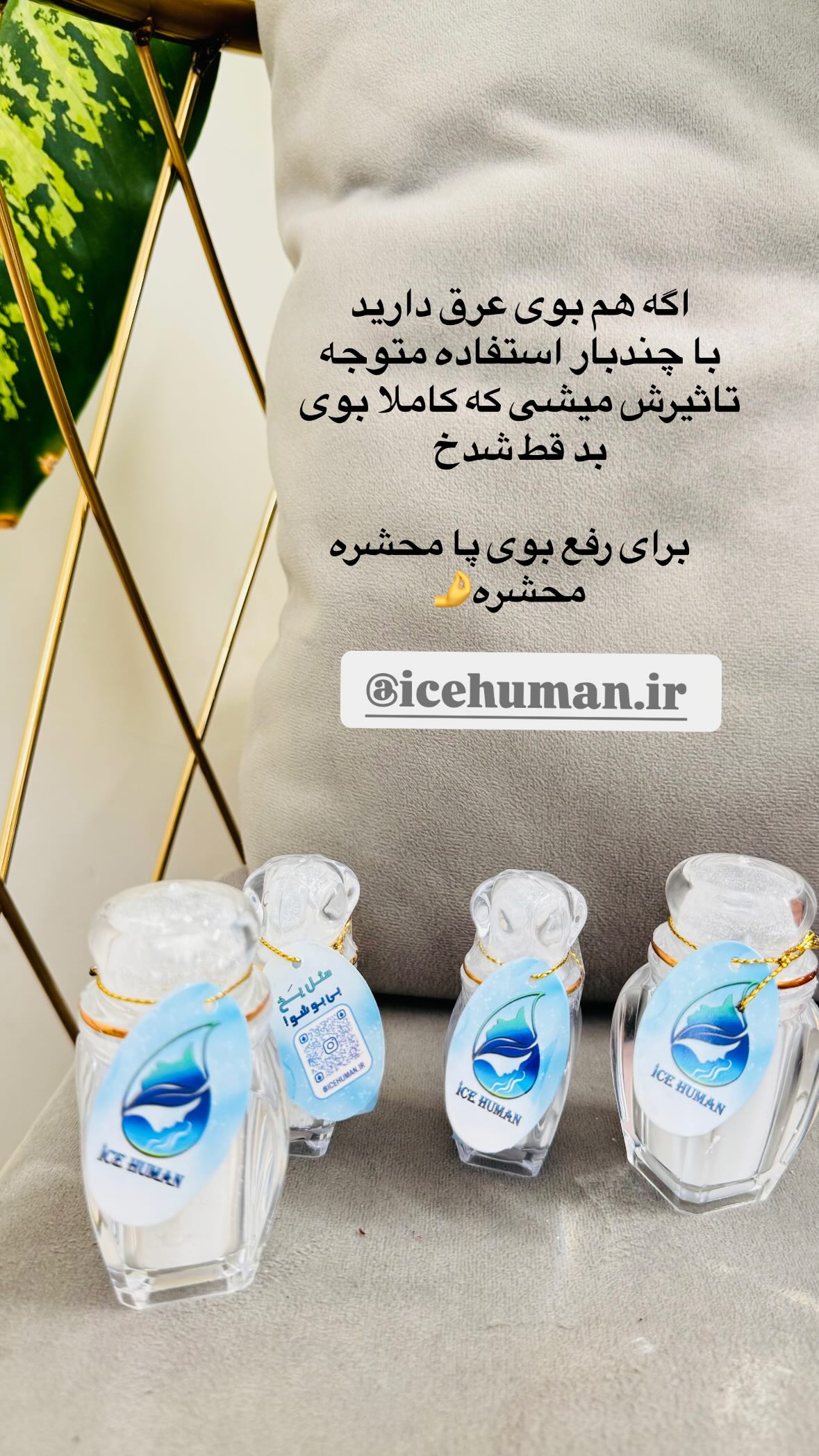  جدید ترین استوری اینستاگرام نورا بانو