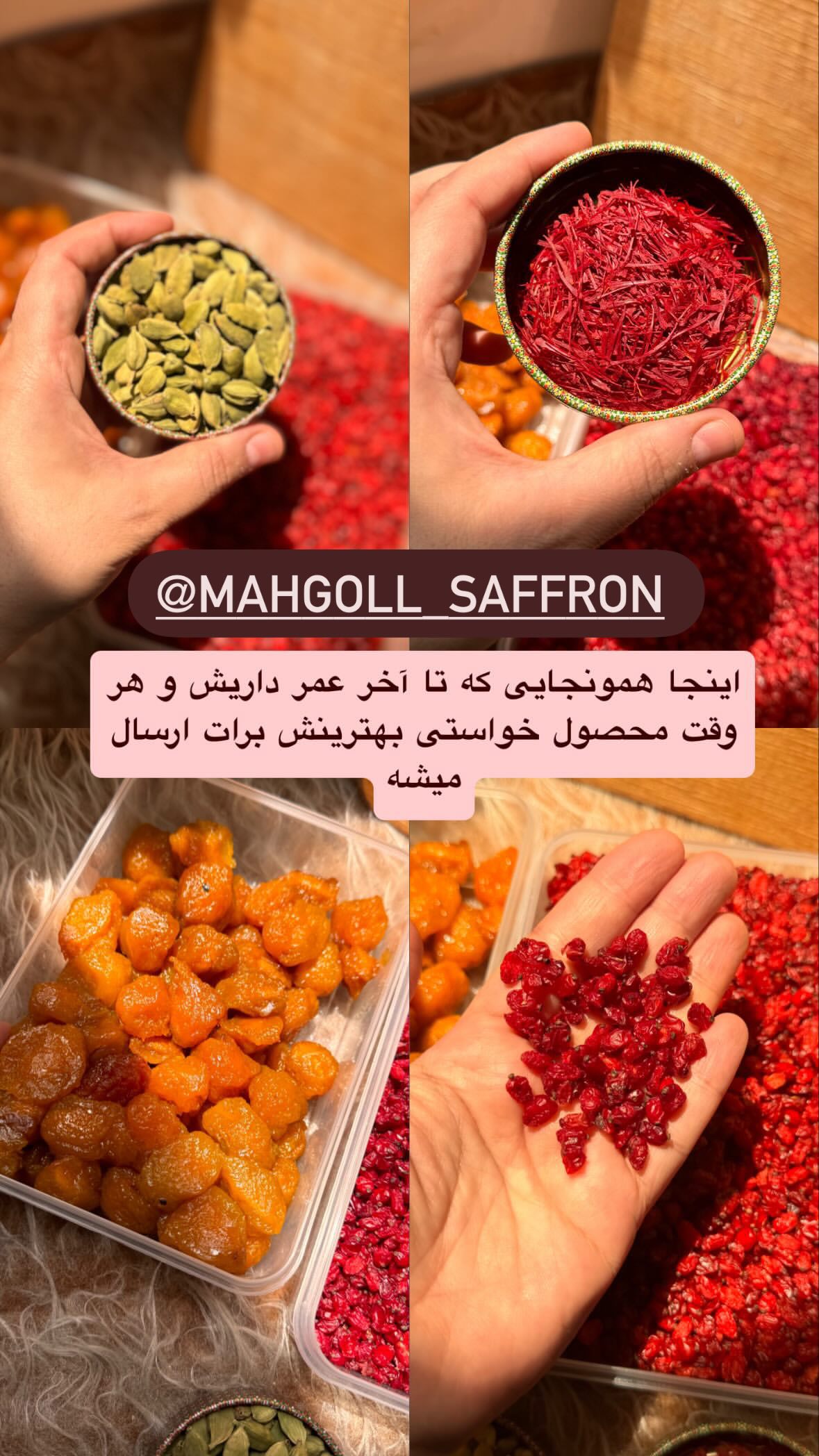 جدید ترین استوری اینستاگرام نورا بانو