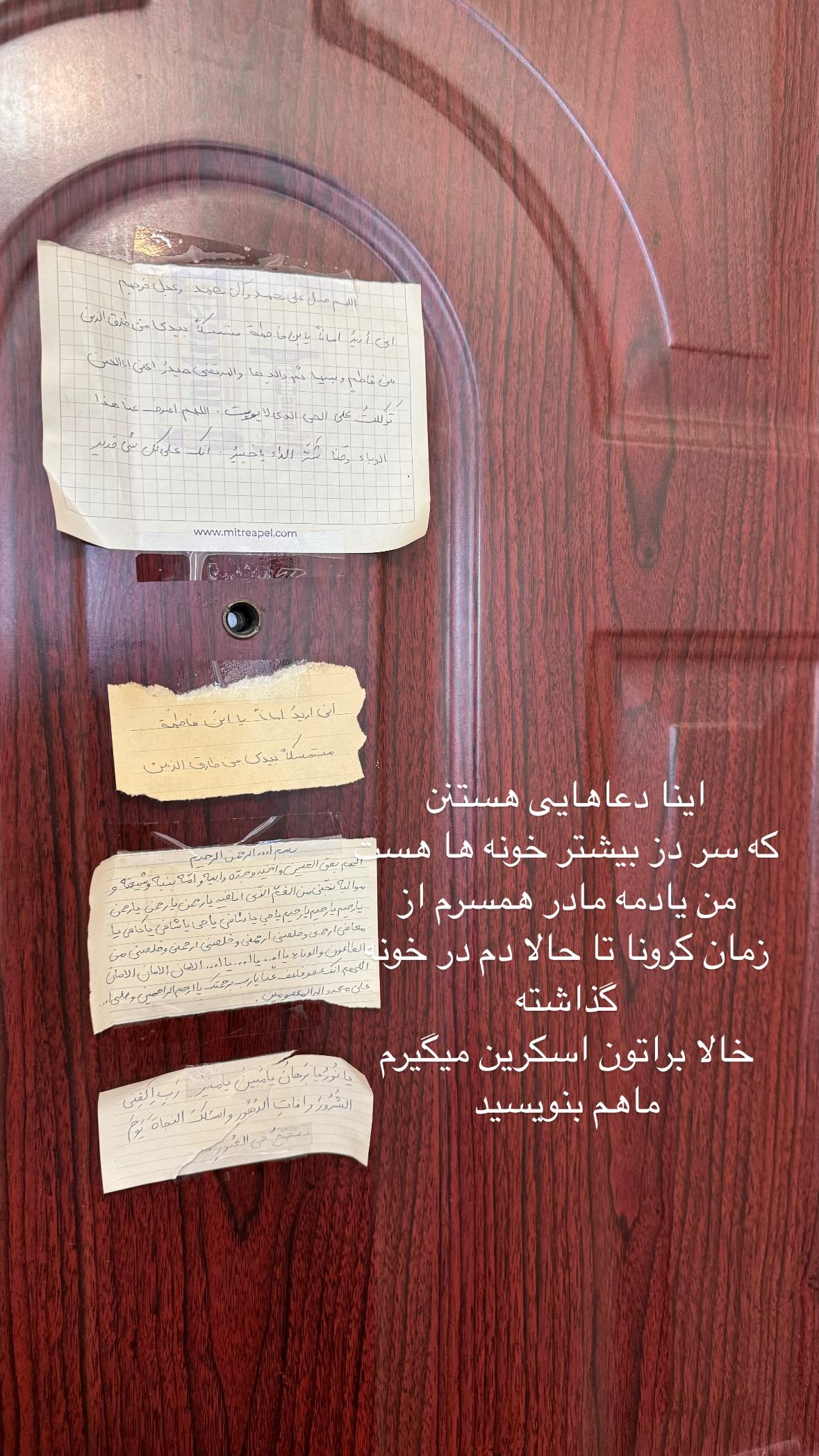  جدید ترین استوری اینستاگرام نورا بانو