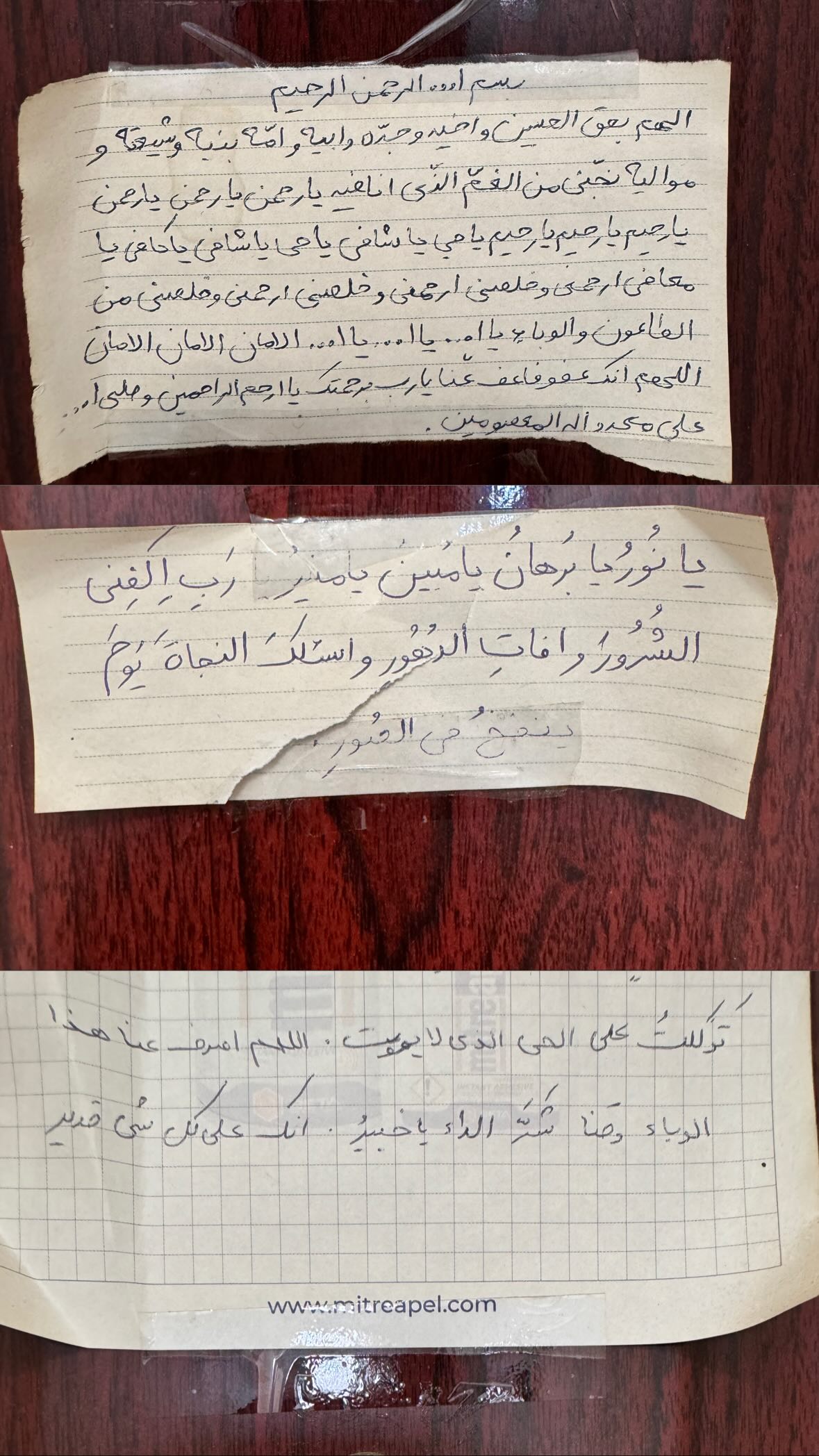  جدید ترین استوری اینستاگرام نورا بانو