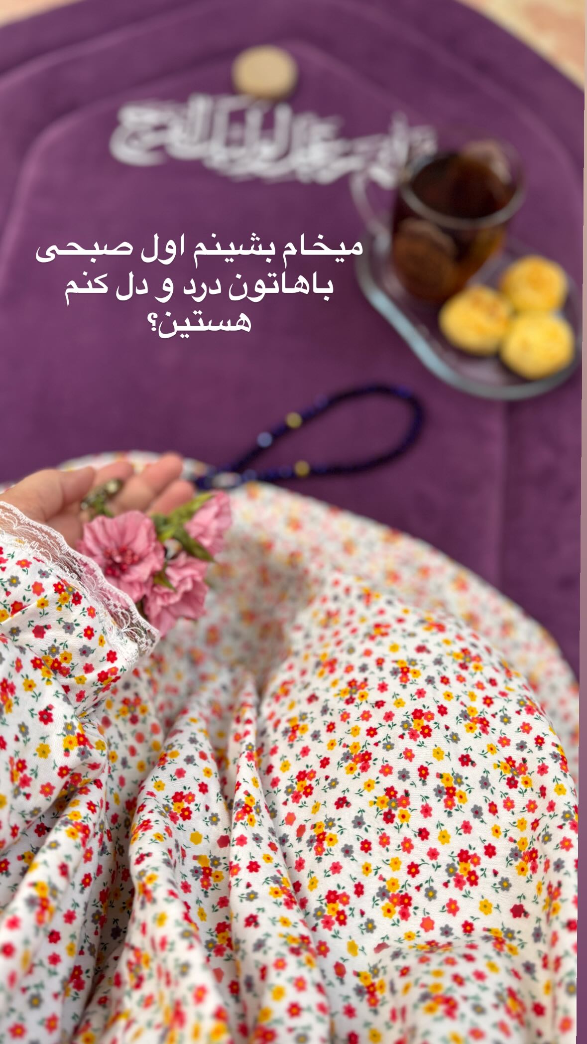  جدید ترین استوری اینستاگرام نورا بانو