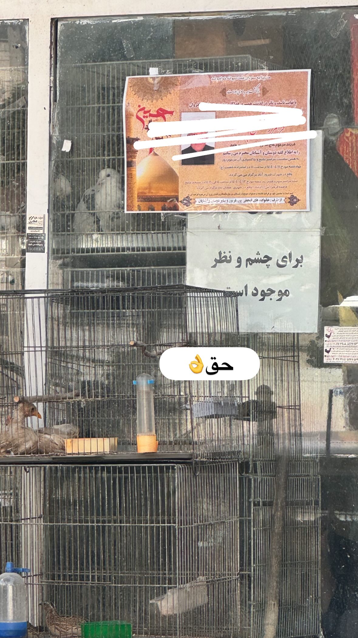  جدید ترین استوری اینستاگرام نورا بانو
