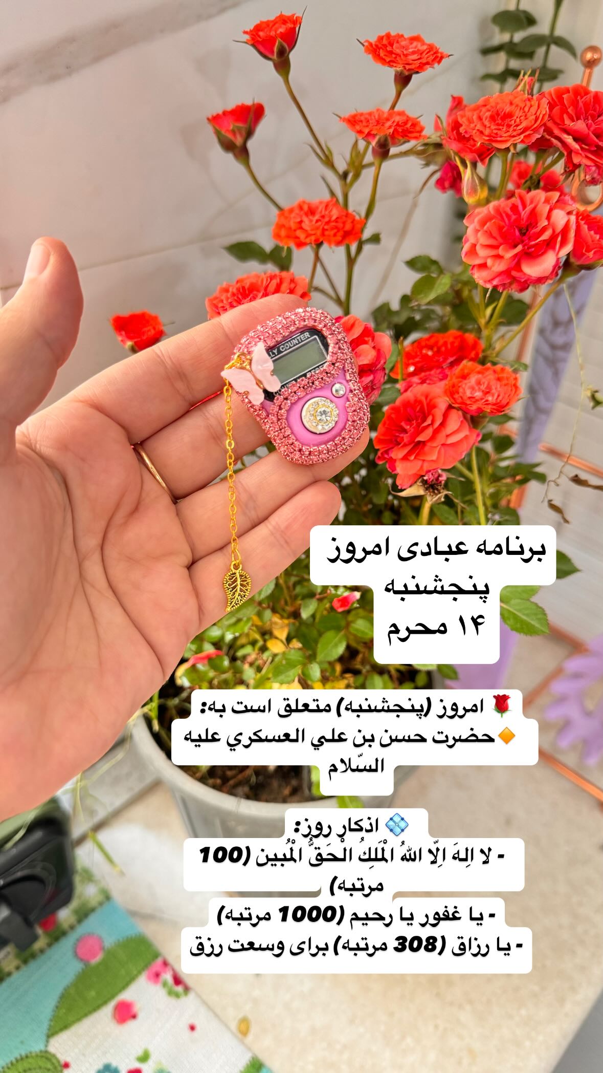  جدید ترین استوری اینستاگرام نورا بانو