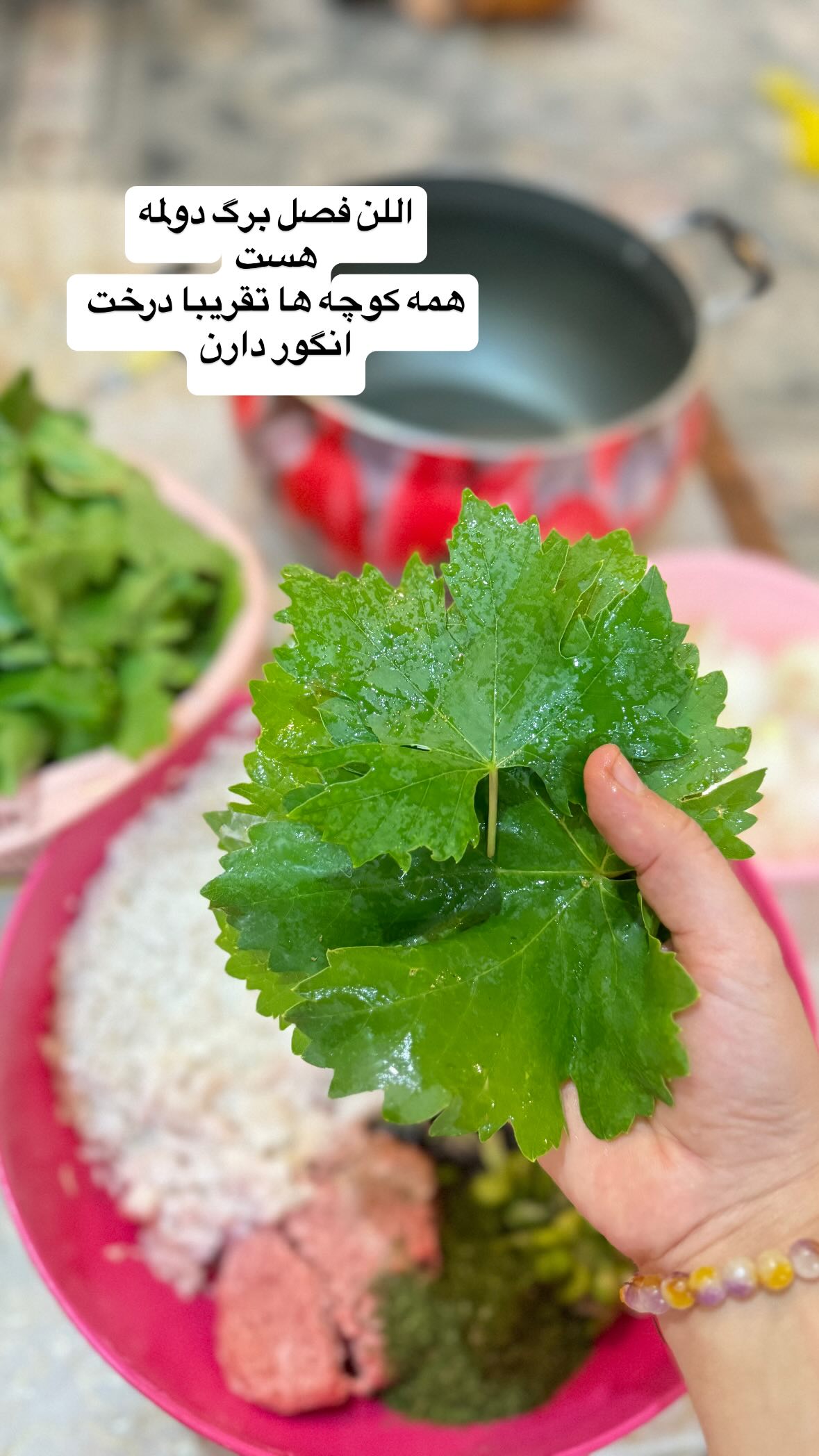  جدید ترین استوری اینستاگرام نورا بانو