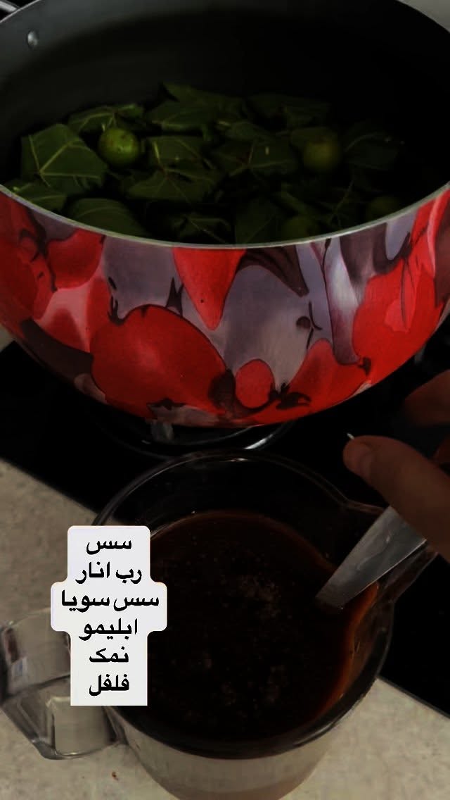  جدید ترین استوری اینستاگرام نورا بانو