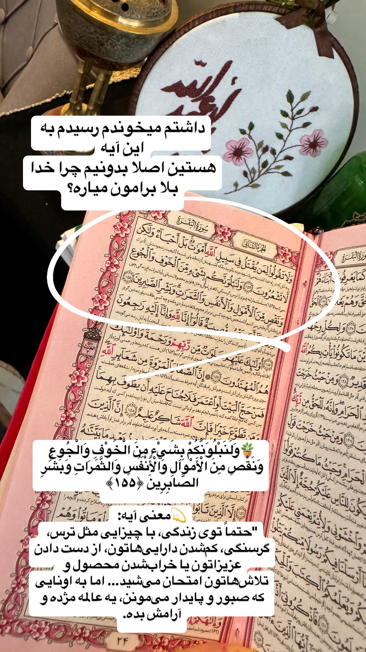  جدید ترین استوری اینستاگرام نورا بانو