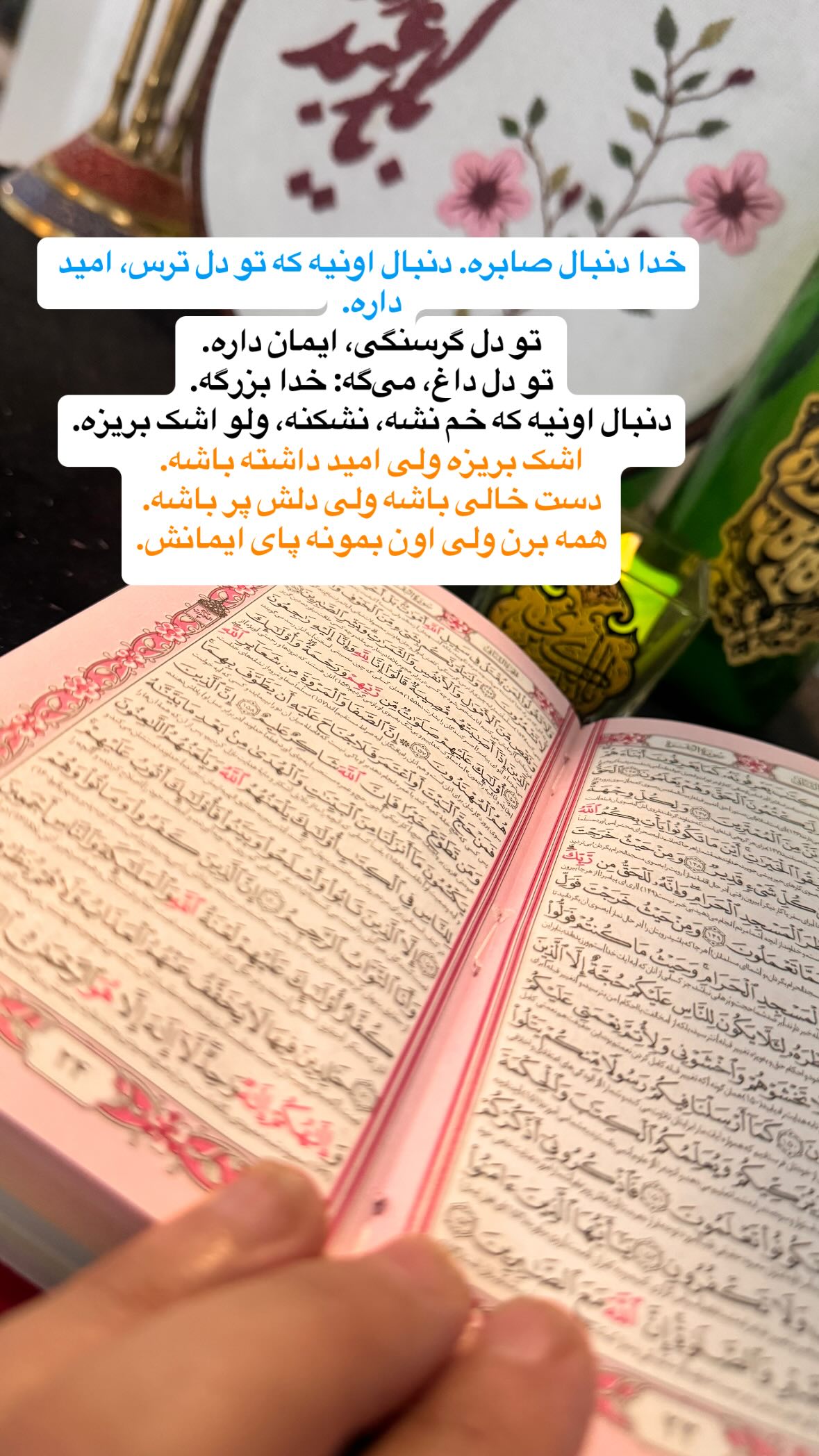  جدید ترین استوری اینستاگرام نورا بانو