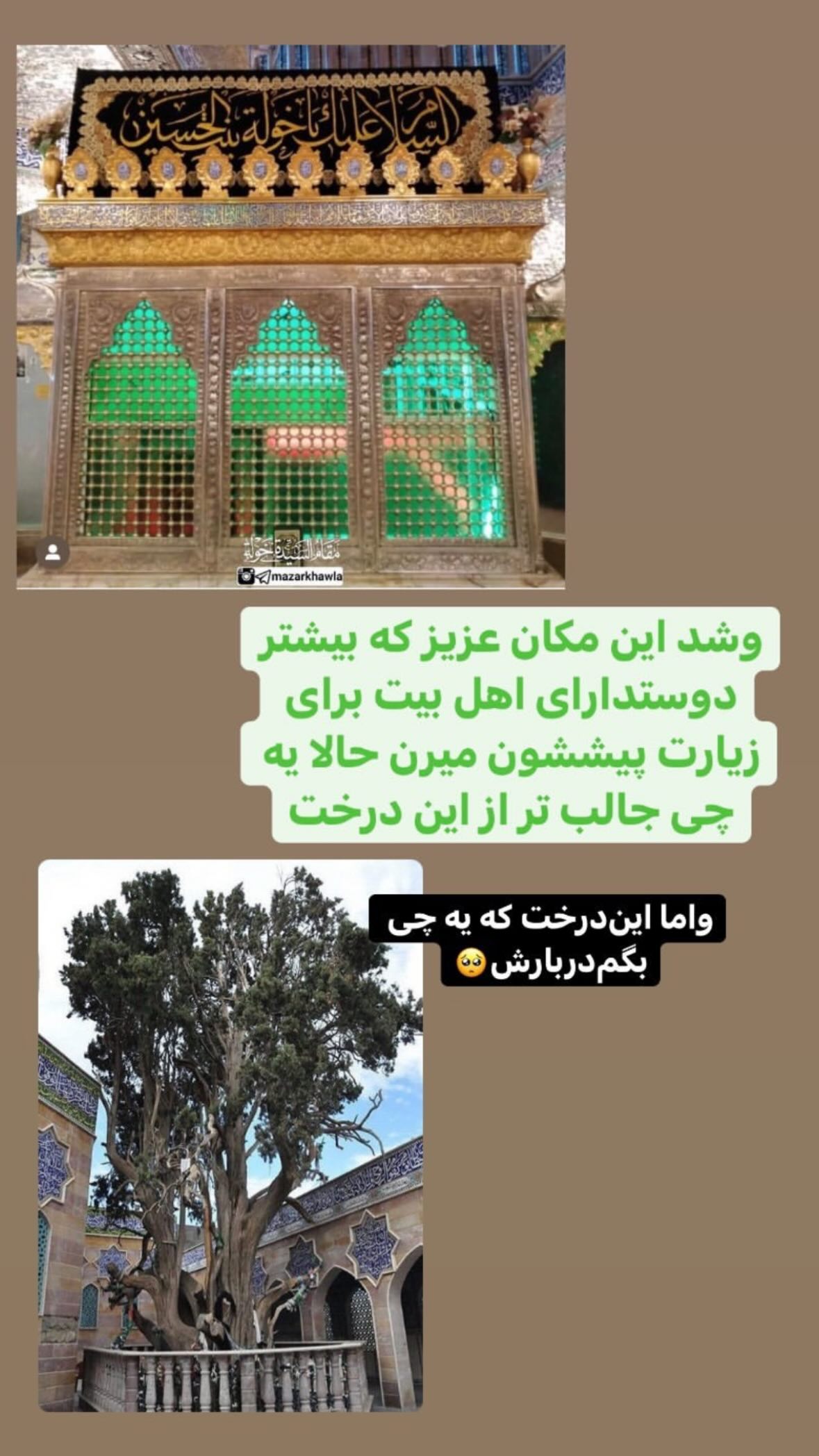  جدید ترین استوری اینستاگرام نورا بانو