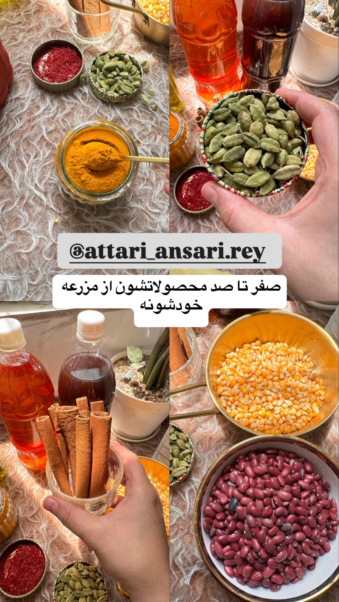  جدید ترین استوری اینستاگرام نورا بانو