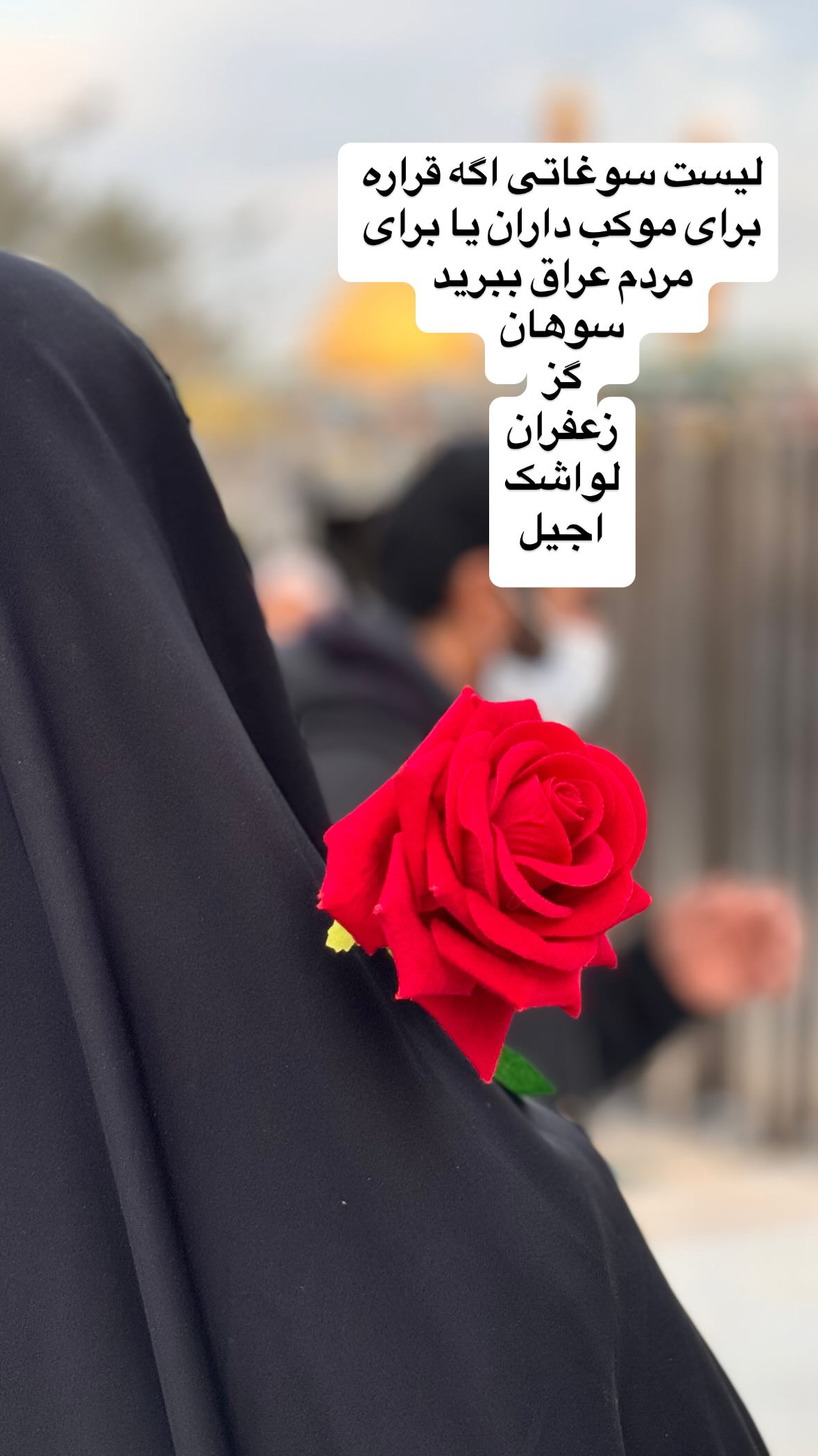  جدید ترین استوری اینستاگرام نورا بانو