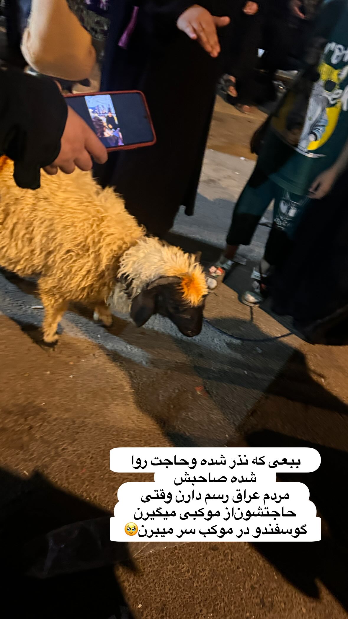  جدید ترین استوری اینستاگرام نورا بانو