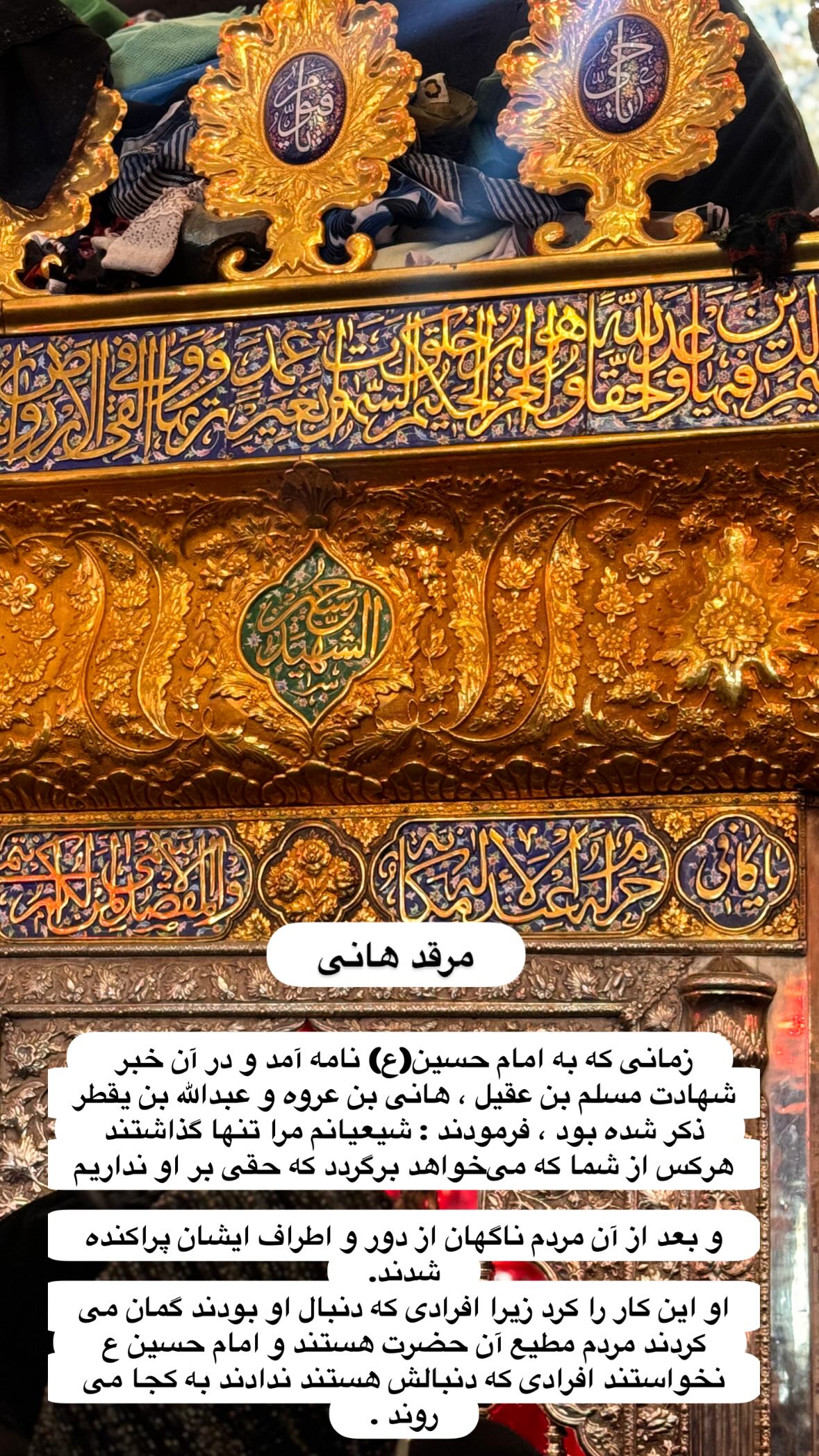  جدید ترین استوری اینستاگرام نورا بانو