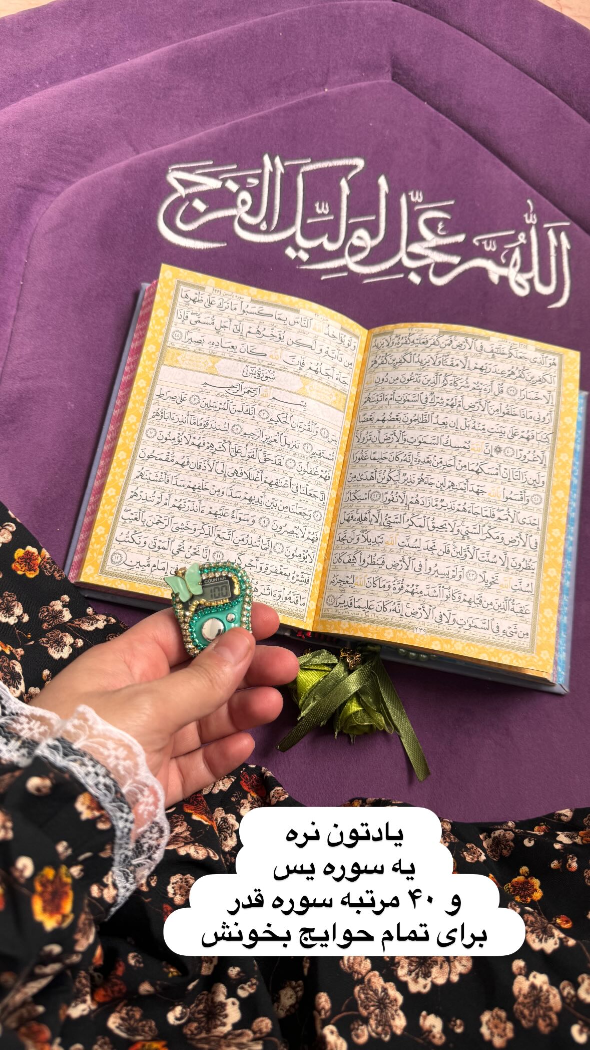  جدید ترین استوری اینستاگرام نورا بانو