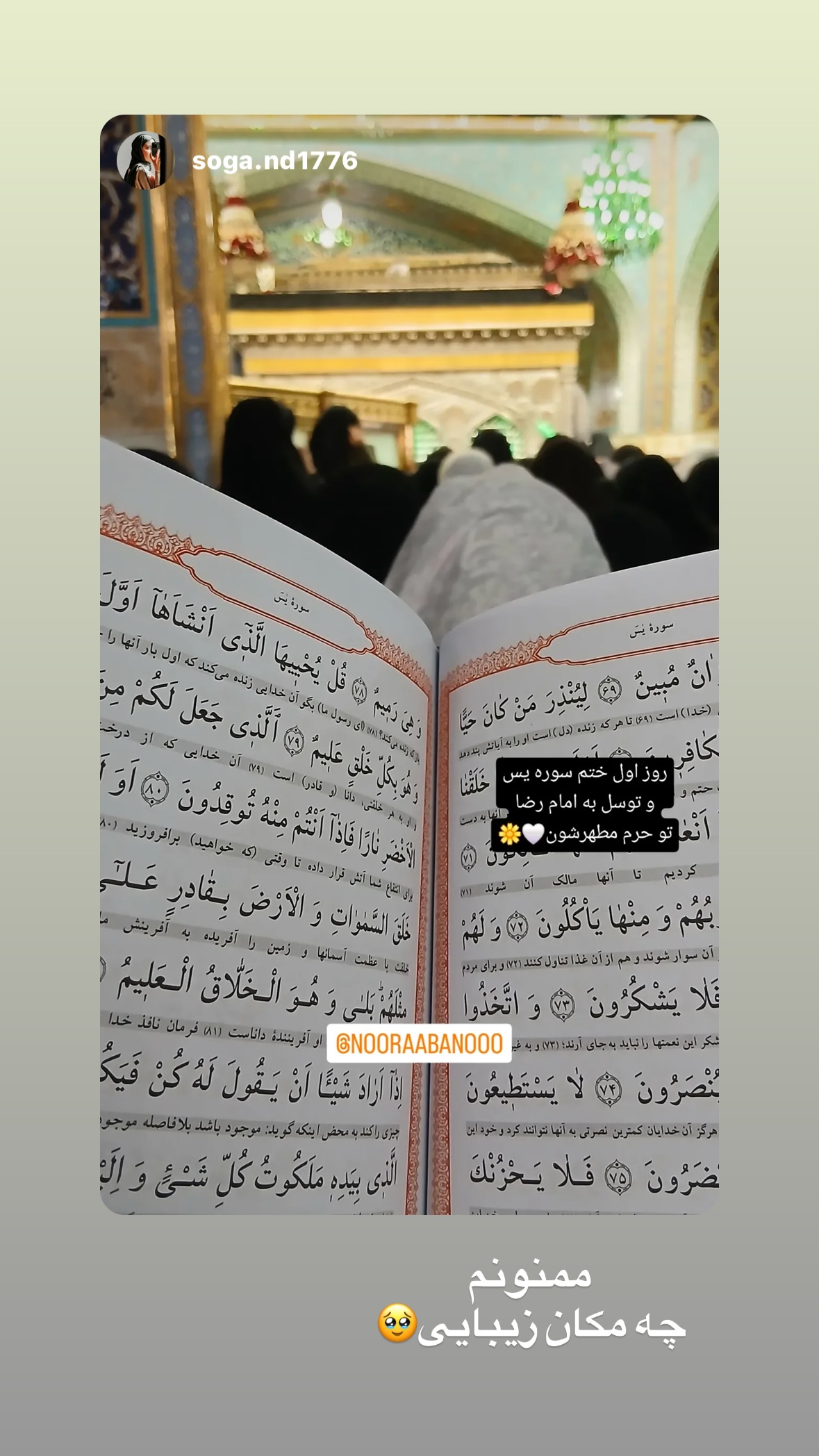  جدید ترین استوری اینستاگرام نورا بانو
