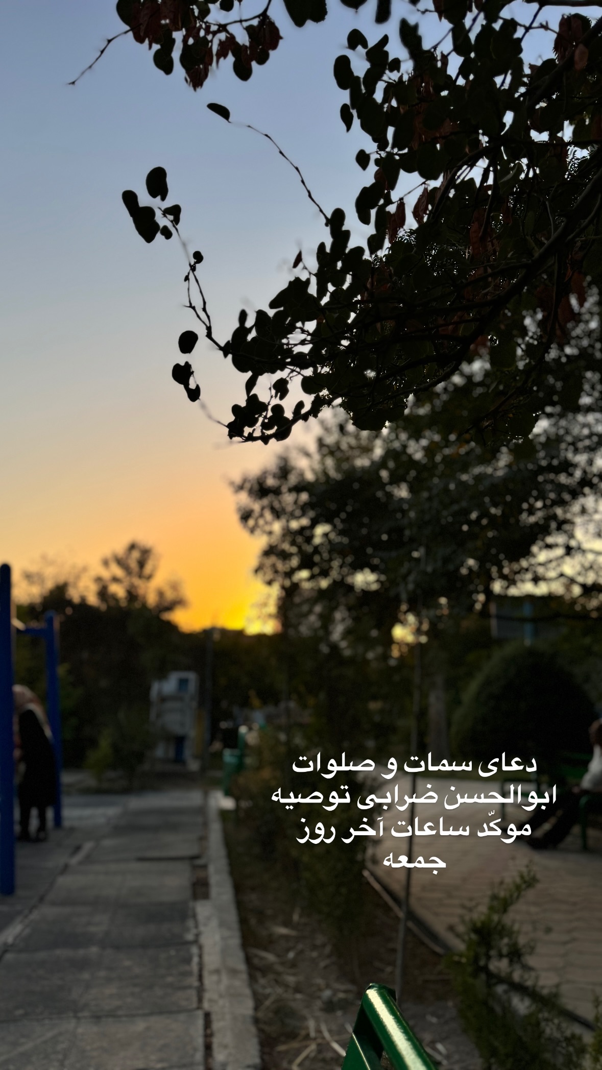  جدید ترین استوری اینستاگرام نورا بانو