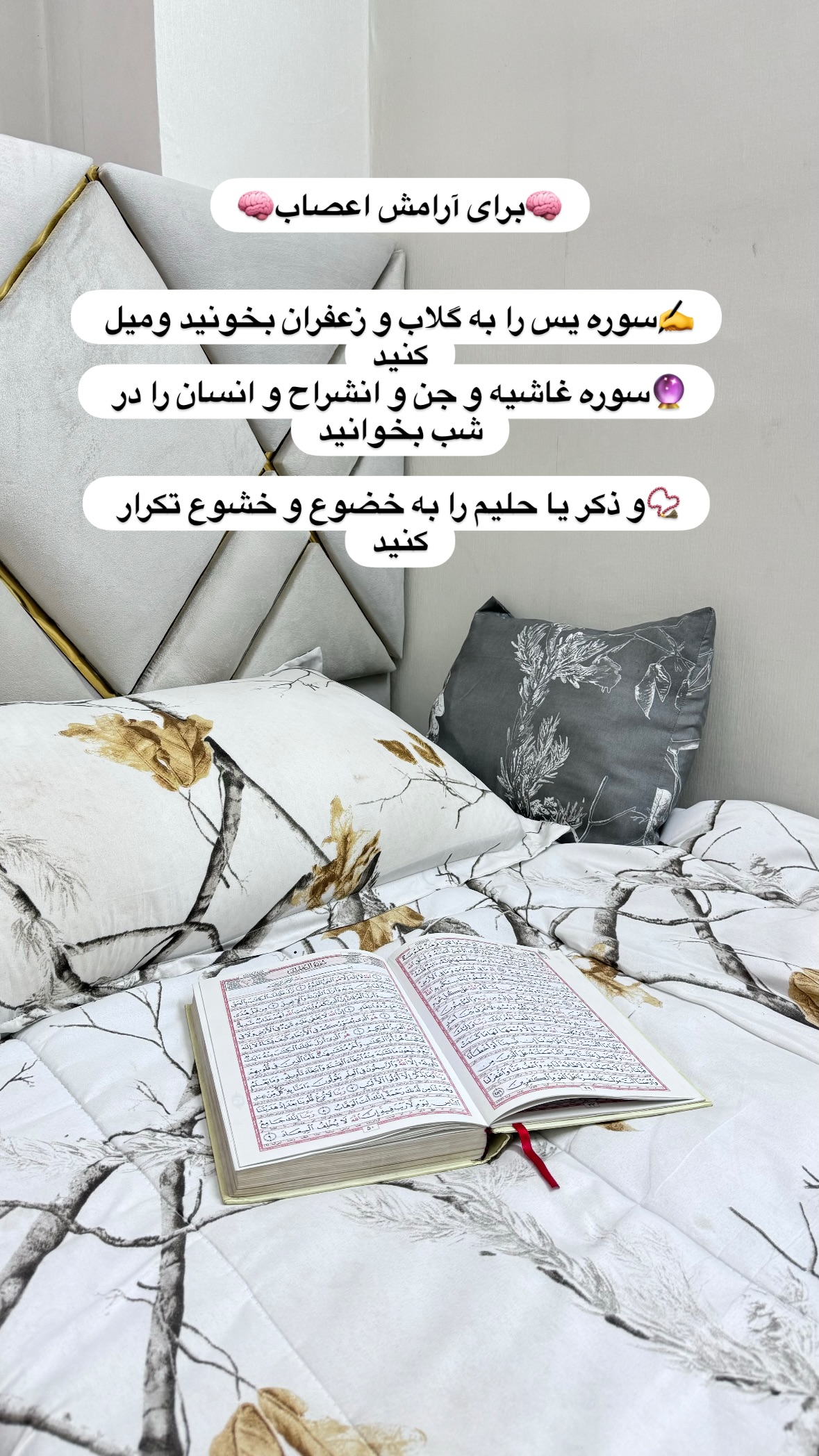  جدید ترین استوری اینستاگرام نورا بانو