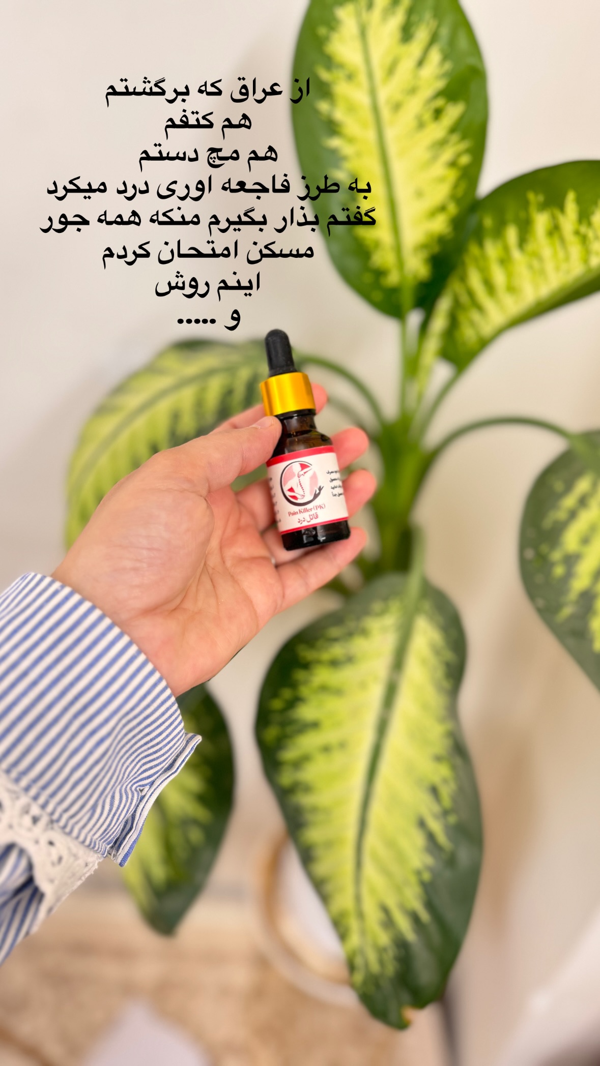  جدید ترین استوری اینستاگرام نورا بانو