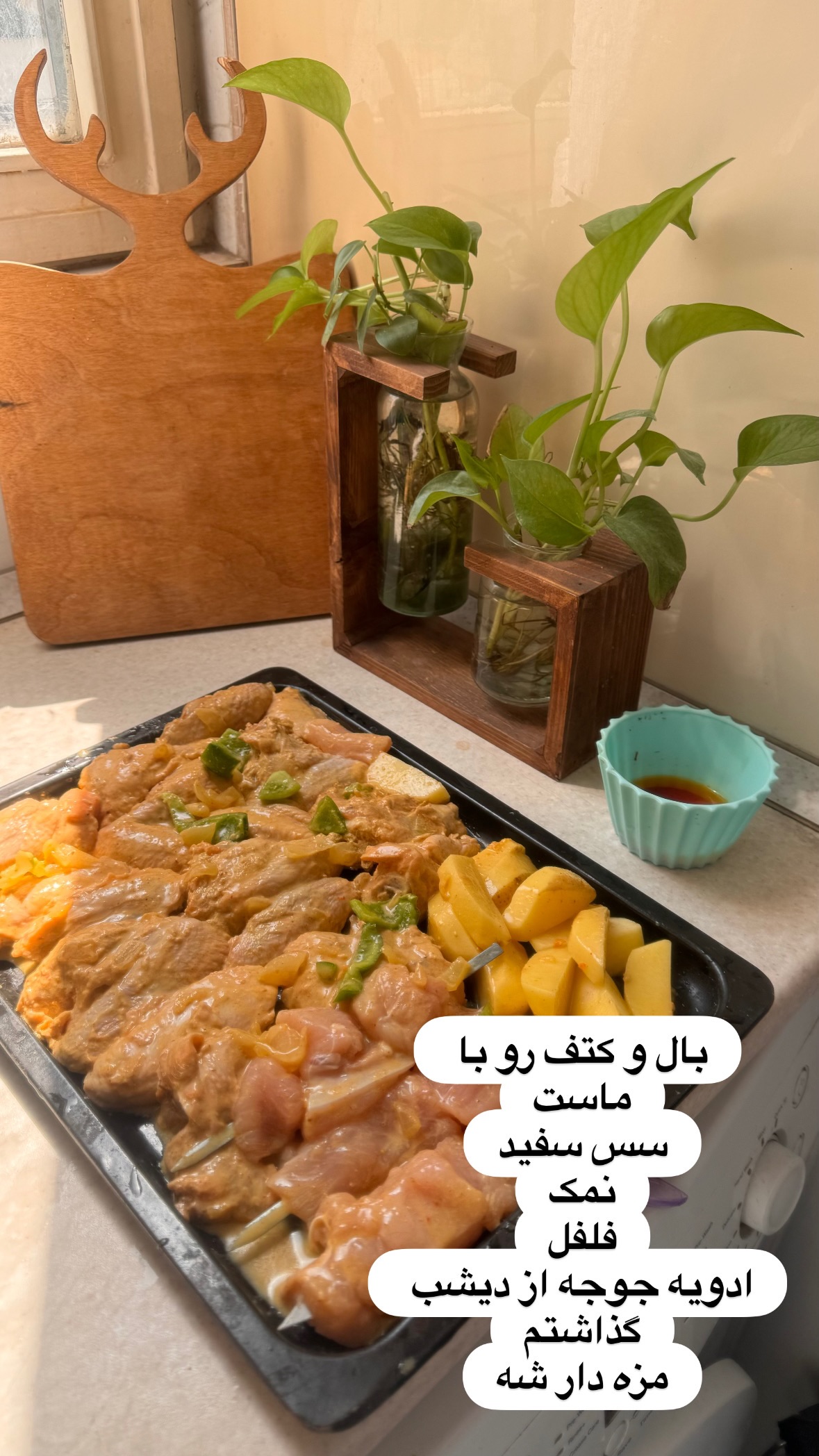  جدید ترین استوری اینستاگرام نورا بانو