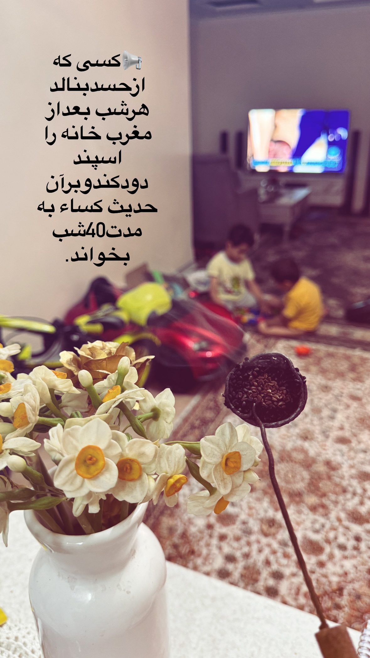  جدید ترین استوری اینستاگرام نورا بانو