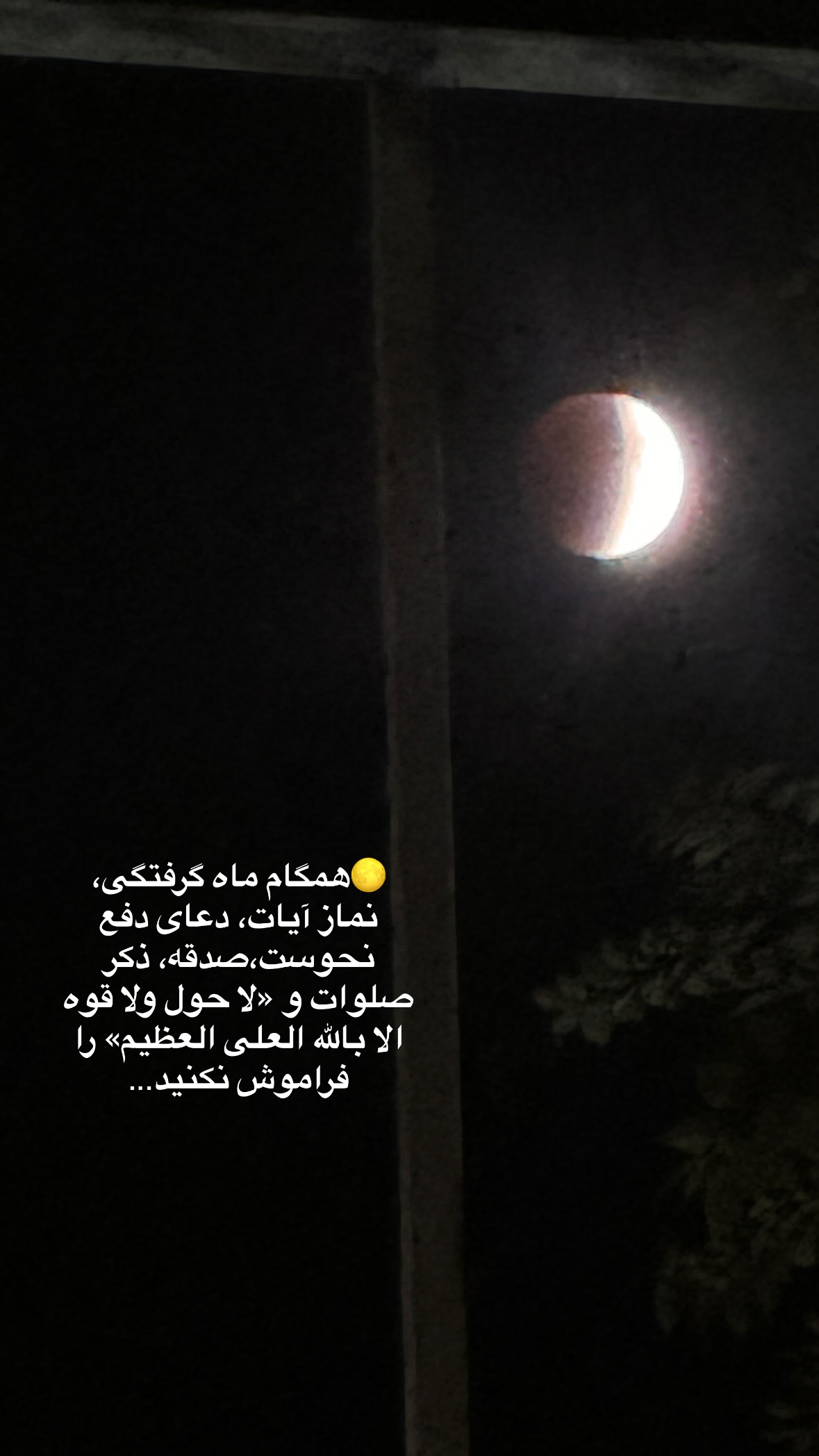  جدید ترین استوری اینستاگرام نورا بانو