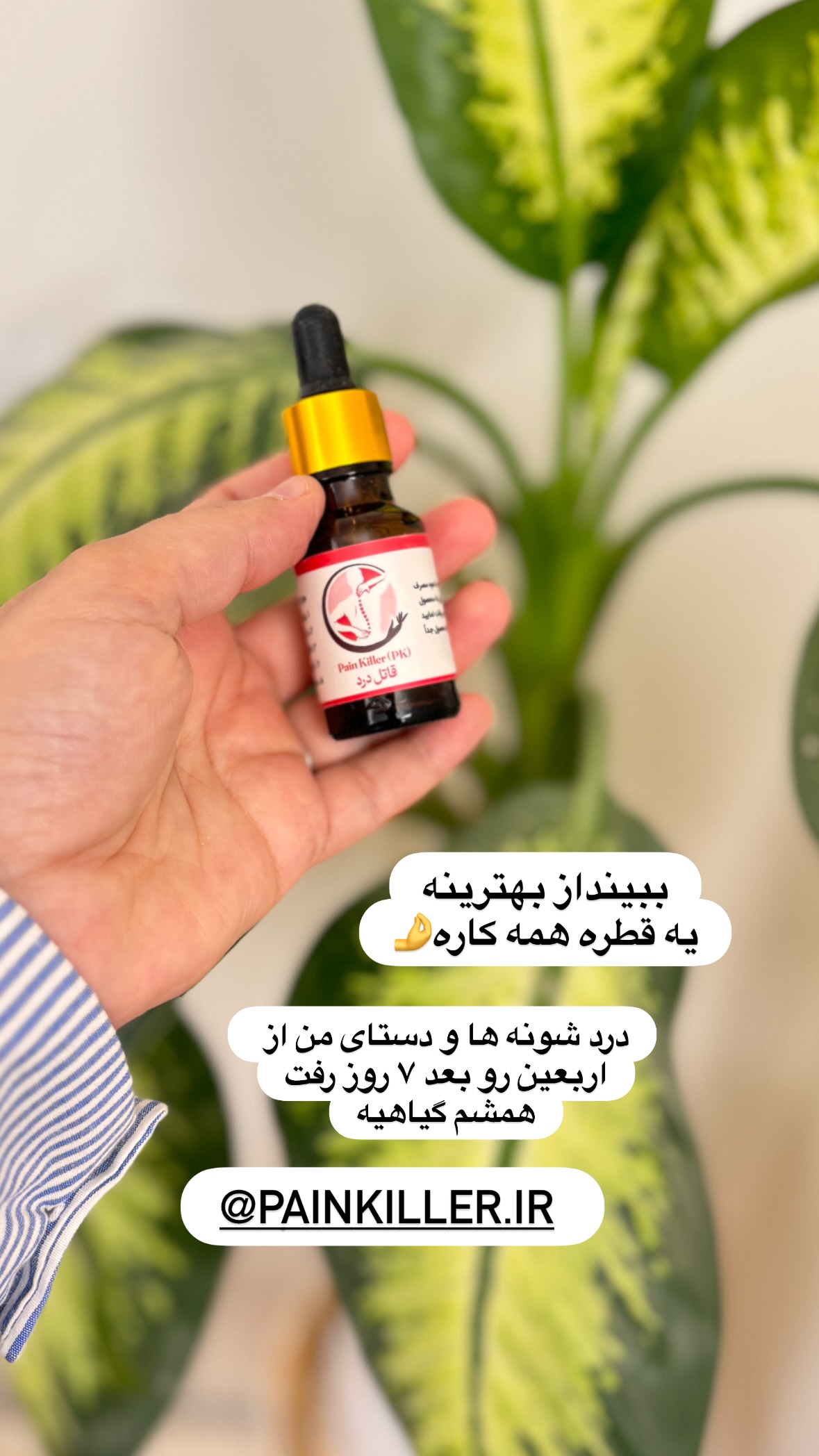  جدید ترین استوری اینستاگرام نورا بانو