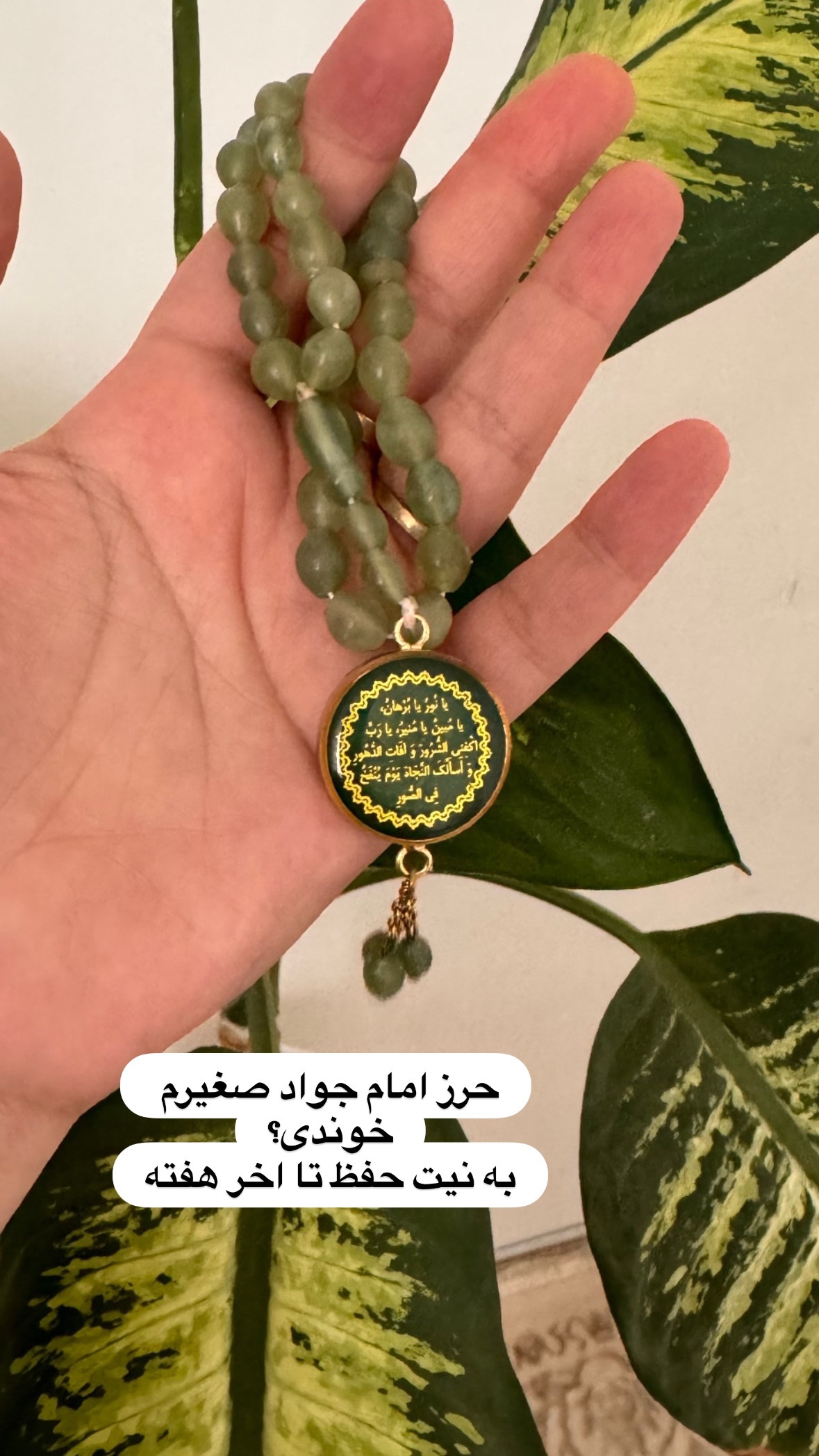  جدید ترین استوری اینستاگرام نورا بانو