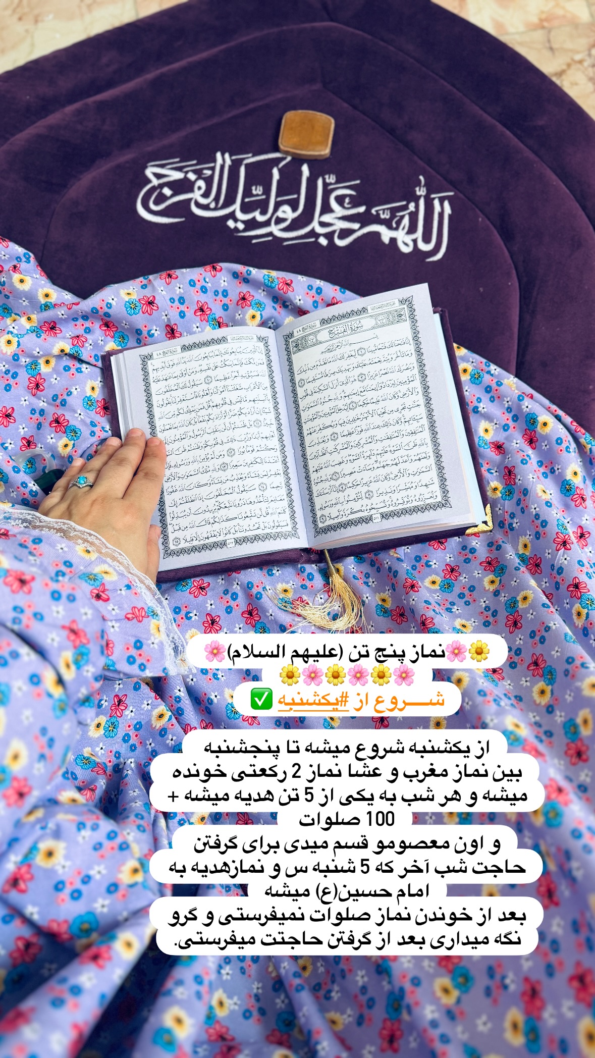  جدید ترین استوری اینستاگرام نورا بانو