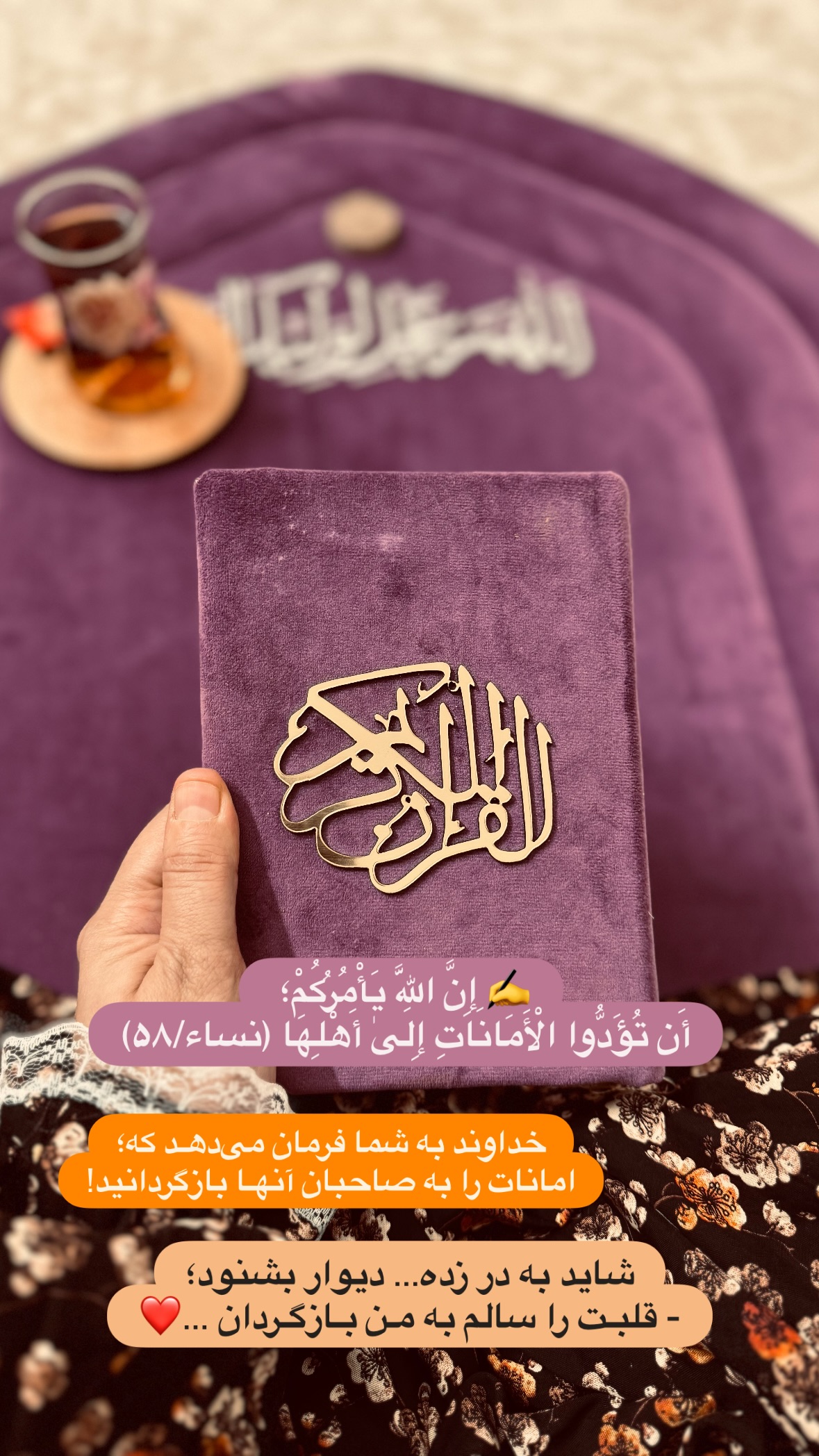  جدید ترین استوری اینستاگرام نورا بانو