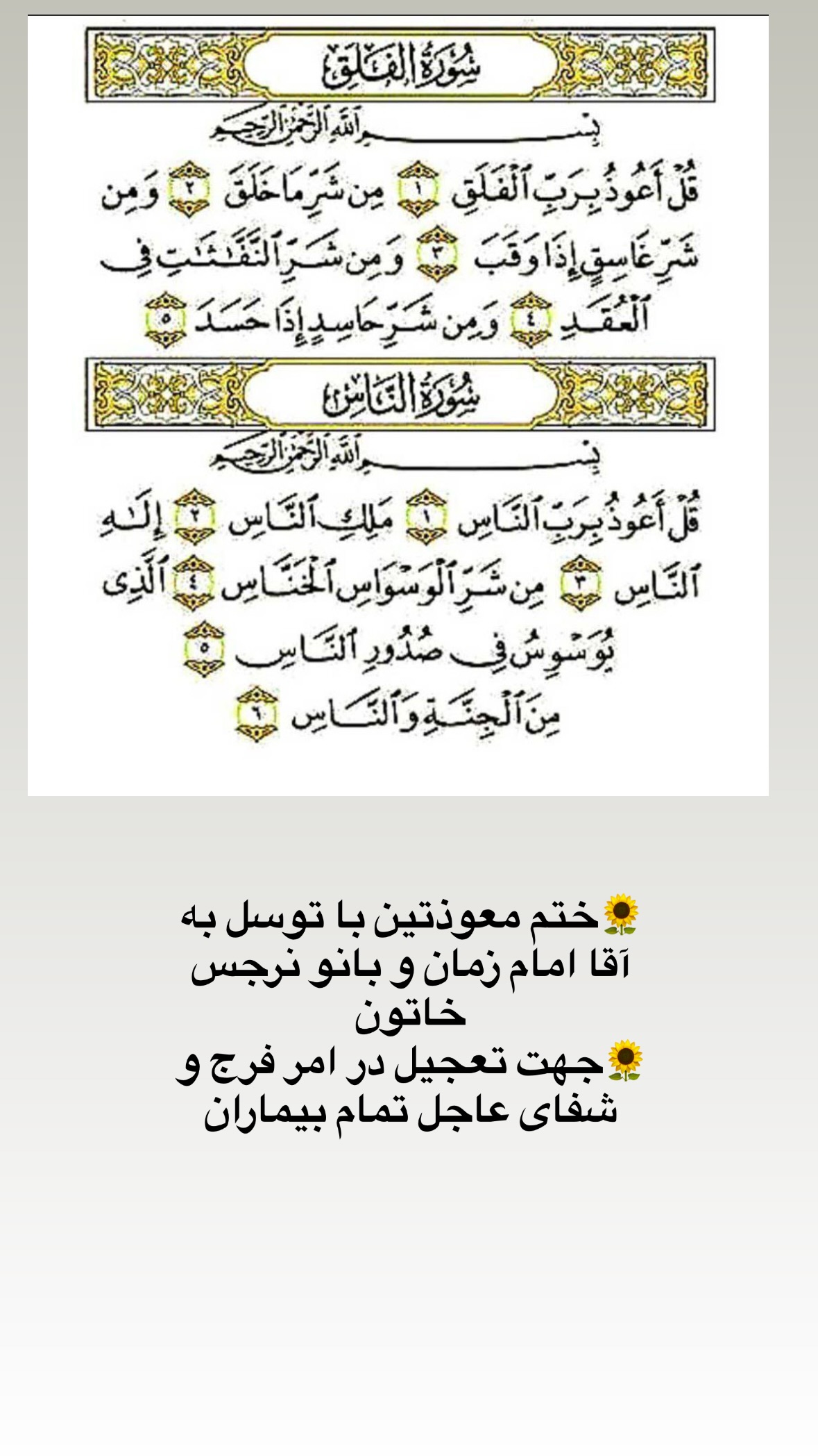  جدید ترین استوری اینستاگرام نورا بانو