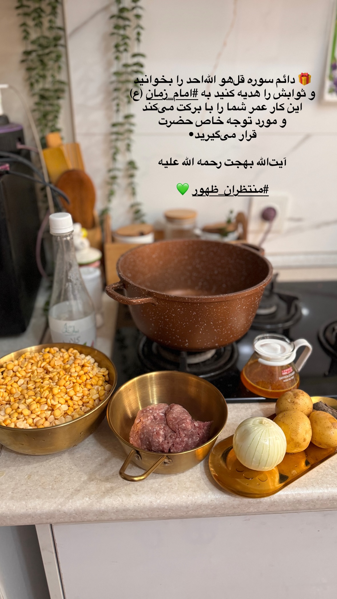  جدید ترین استوری اینستاگرام نورا بانو