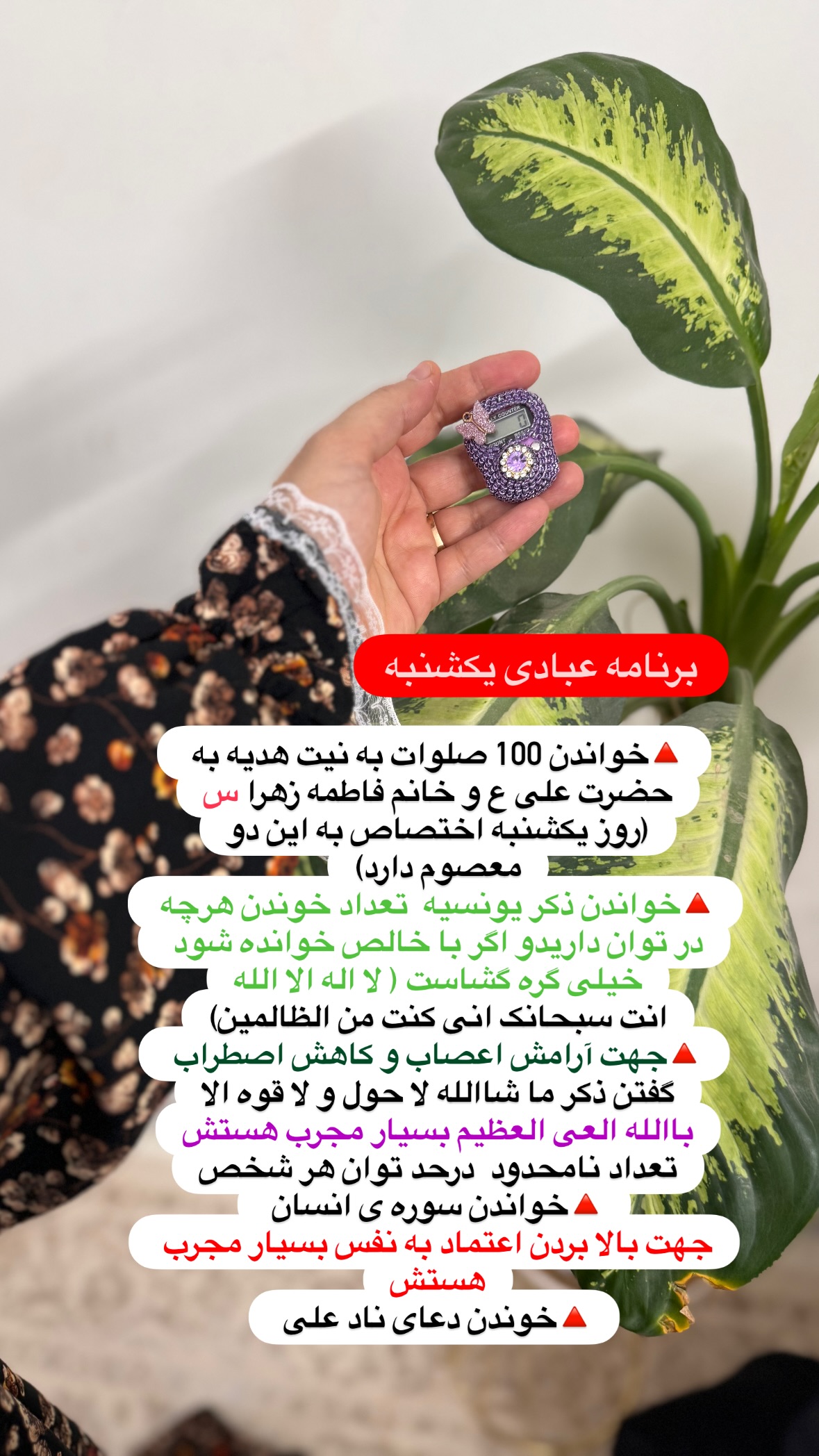  جدید ترین استوری اینستاگرام نورا بانو