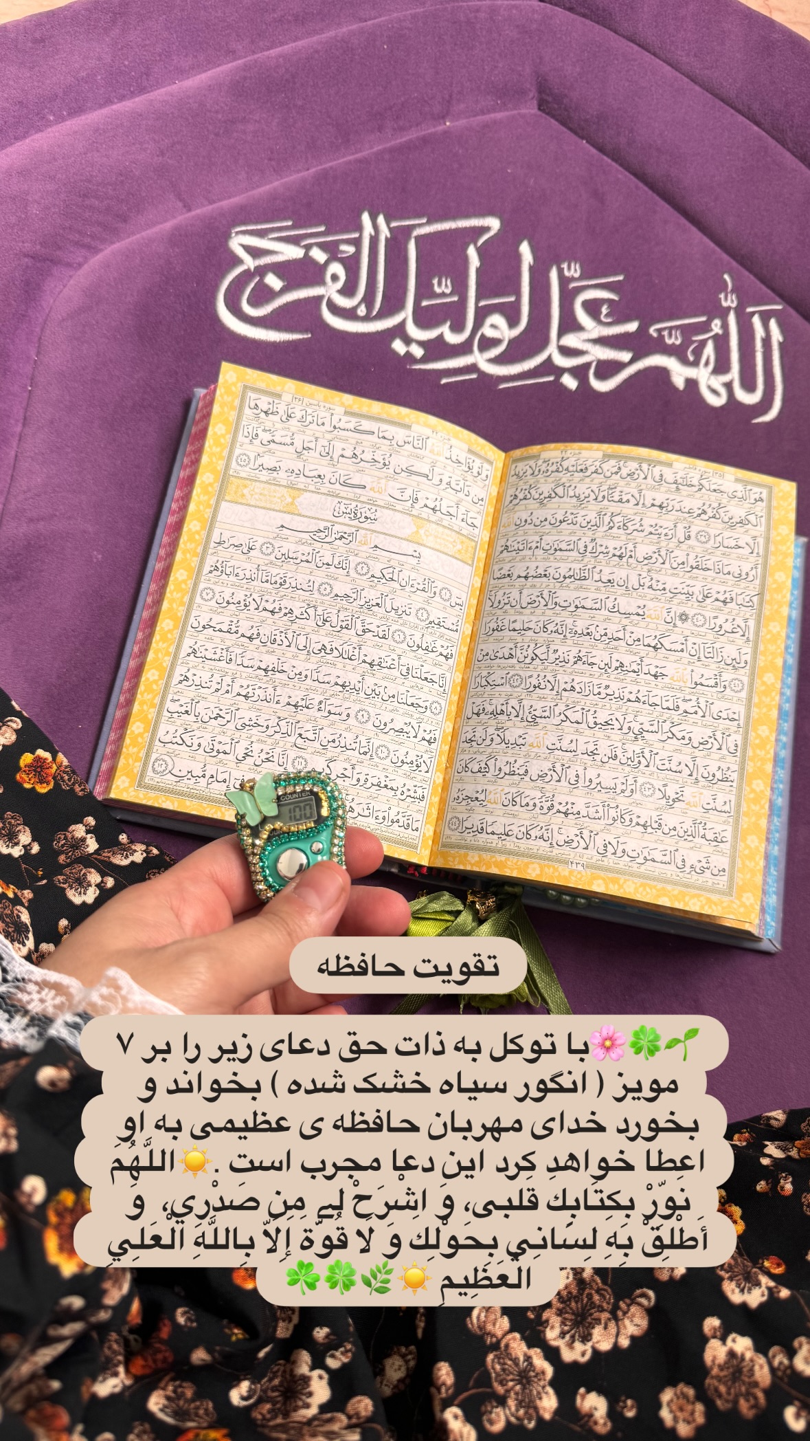  جدید ترین استوری اینستاگرام نورا بانو