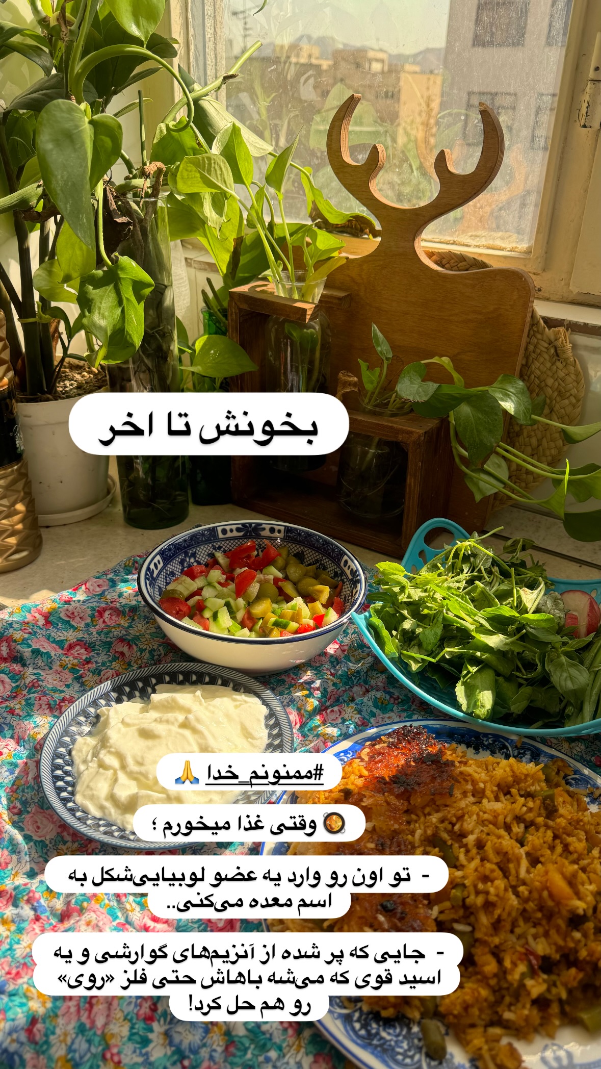  جدید ترین استوری اینستاگرام نورا بانو