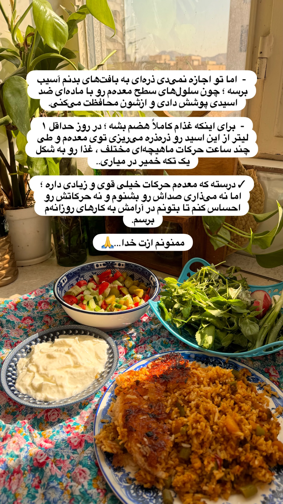  جدید ترین استوری اینستاگرام نورا بانو