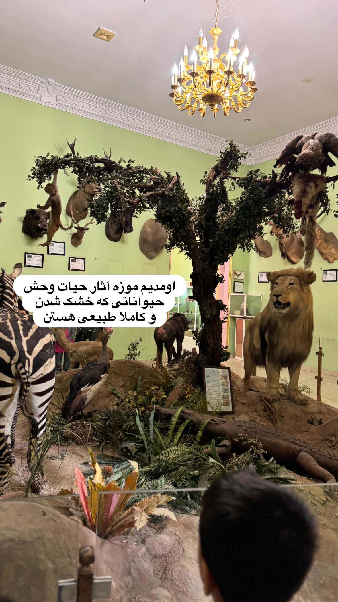  جدید ترین استوری اینستاگرام نورا بانو